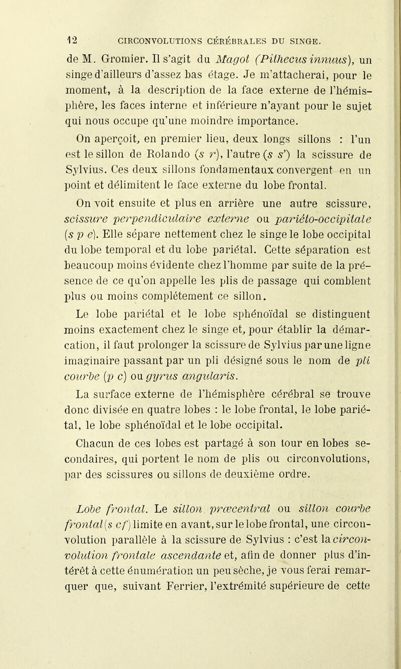 deM. Groraier. Il s’agit du Magot (Piihecus innuus), un singe d’ailleurs d’assez bas étage. Je m’attacherai, pour le moment, à la description de la face externe de l’hémis- phère, les faces interne et inférieure n’ayant pour le sujet qui nous occupe qu’une moindre importance. On aperçoit, en premier lieu, deux longs sillons : l’un est le sillon de Rolande (s r), l’autre (5 5’) la scissure de Sjdvius. Ces deux sillons fondamentaux convergent en un point et délimitent le face externe du lobe frontal. On voit ensuite et plus en arrière une autre scissure, scissure perpendiculaire externe ou pariéto-occipitale [s P e). Elle sépare nettement chez le singe le lobe occipital du lobe temporal et du lobe pariétal. Cette séparation est beaucoup moins évidente chez l'homme par suite de la pré- sence de ce qu’on appelle les plis de passage qui comblent plus ou moins complètement ce sillon. Le lobe pariétal et le lobe sphénoïdal se distinguent moins exactement chez le singe et, pour établir la démar- cation, il faut prolonger la scissure de Sylvius par une ligne imaginaire passant par un pli désigné sous le nom de pli courte {p c) ou gyrus angiüaris. La surface externe de l’hémisphère cérébral se trouve donc divisée en quatre lobes : le lobe frontal, le lobe parié- tal, le lobe sphénoïdal et le lobe occipital. Chacun de ces lobes est partagé à son tour en lobes se- condaires, qui portent le nom de plis ou circonvolutions, par des scissures ou sillons de deuxième ordre. Lobe frontal. Le sillon præcentral ou sillon courbe frontal{s c/) limite en avant, sur le lobe frontal, une circon- volution parallèle à la scissure de Sylvius ; c’est la cî'rcou- volidion frontale ascendante et, afin de donner plus d’in- térêt à cette énumération un peu sèche, je vous ferai remar- quer que, suivant Ferrier, l’extrémité supérieure de cette