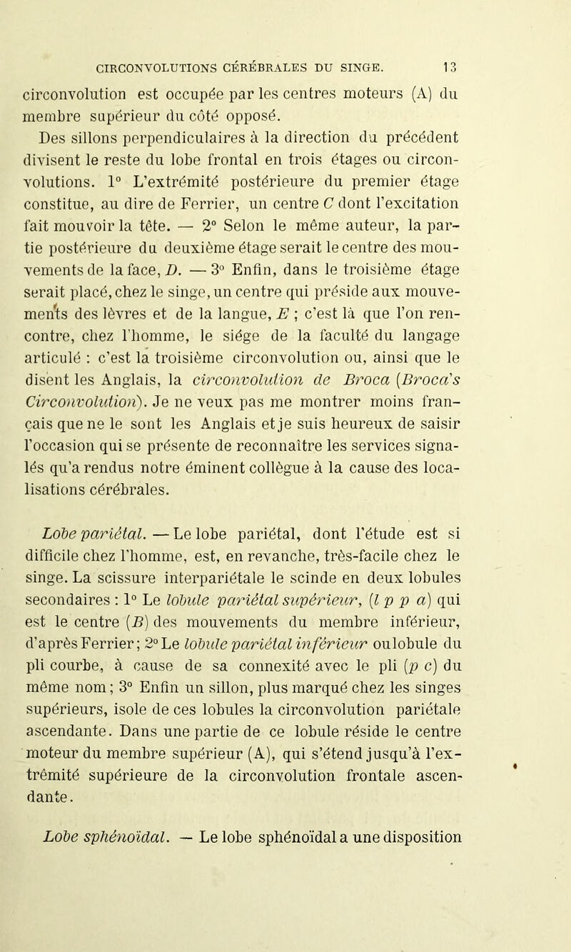 circonvolution est occupée par les centres moteurs (A) du membre supérieur du côté opposé. Des sillons perpendiculaires à la direction du précédent divisent le reste du lobe frontal en trois étages ou circon- volutions. 1° L’extrémité postérieure du premier étage constitue, au dire de Ferrier, un centre C dont l’excitation fait mouvoir la tête. — 2“ Selon le même auteur, la par- tie postérieure du deuxième étage serait le centre des mou- vements de la face, D. —3“ Enfin, dans le troisième étage serait placé, chez le singe, un centre qui préside aux mouve- ments des lèvres et de la langue, E ; c’est là que l’on ren- contre, chez l’homme, le siège de la faculté du langage articulé : c’est la troisième circonvolution ou, ainsi que le disent les Anglais, la circonvolution de Broca [Broca's Circonvolution). Je ne veux pas me montrer moins fran- çais que ne le sont les Anglais et je suis heureux de saisir l’occasion qui se présente de reconnaître les services signa- lés qu’a rendus notre éminent collègue à la cause des loca- lisations cérébrales. Lobe pariétal. — Le lobe pariétal, dont l’étude est si difficile chez l'homme, est, en revanche, très-facile chez le singe. La scissure interpariétale le scinde en deux lobules secondaires : 1° Le lobide pariétal supérieur, [Ip p a) qui est le centre [B) des mouvements du membre inférieur, d’après Ferrier; 2“ Le lobide pariétal inférieur oulobule du pli courbe, à cause de sa connexité avec le pli [p c) du même nom; 3° Enfin un sillon, plus marqué chez les singes supérieurs, isole de ces lobules la circonvolution pariétale ascendante. Dans une partie de ce lobule réside le centre moteur du membre supérieur (A), qui s’étend jusqu’à l’ex- trémité supérieure de la circonvolution frontale ascen- dante. Lobe sphénoïdal. — Le lobe sphénoïdal a une disposition