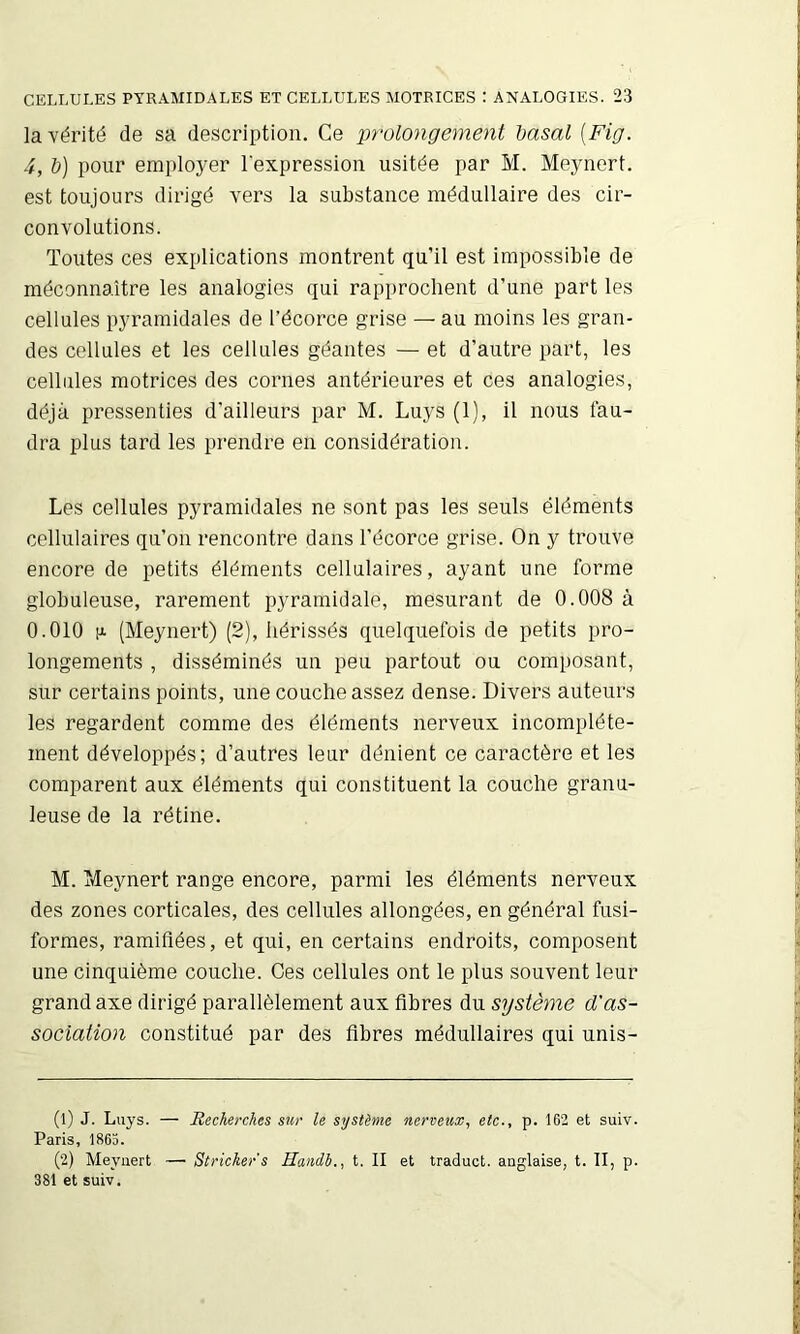 la vérité de sa description. Ce prolongement hasal [Fig. 4, b) pour employer l'expression usitée par M. Meynert. est toujours dirigé vers la substance médullaire des cir- convolutions. Toutes ces explications montrent qu’il est impossible de méconnaître les analogies qui rapprochent d’une part les cellules pyramidales de l’écorce grise — au moins les gran- des cellules et les cellules géantes — et d’autre part, les cellules motrices des cornes antérieures et ces analogies, déjà pressenties d’ailleurs par M. Luys (1), il nous fau- dra plus tard les prendre en considération. Les cellules pyramidales ne sont pas les seuls éléments cellulaires qu’on rencontre dans l’écorce grise. On y trouve encore de petits éléments cellulaires, ayant une forme globuleuse, rarement pyramidale, mesurant de 0.008 à 0.010 (Meynert) (2), hérissés quelquefois de petits pro- longements , disséminés un peu partout ou composant, sur certains points, une couche assez dense. Divers auteurs les regardent comme des éléments nerveux incomplète- ment développés; d’autres leur dénient ce caractère et les comparent aux éléments qui constituent la couche granu- leuse de la rétine. M. Meynert range encore, parmi les éléments nerveux des zones corticales, des cellules allongées, en général fusi- formes, ramifiées, et qui, en certains endroits, composent une cinquième couche. Ces cellules ont le plus souvent leur grand axe dirigé parallèlement aux fibres du système d'as- sociation constitué par des fibres médullaires qui unis- (1) J. Luys. — Recherches sur le système nerveux., etc., p. 162 et suiv. Paris, 1865. (2) Meynert — Stricker's Handb., t. II et traduct. anglaise, t. II, p. 381 et suiv.