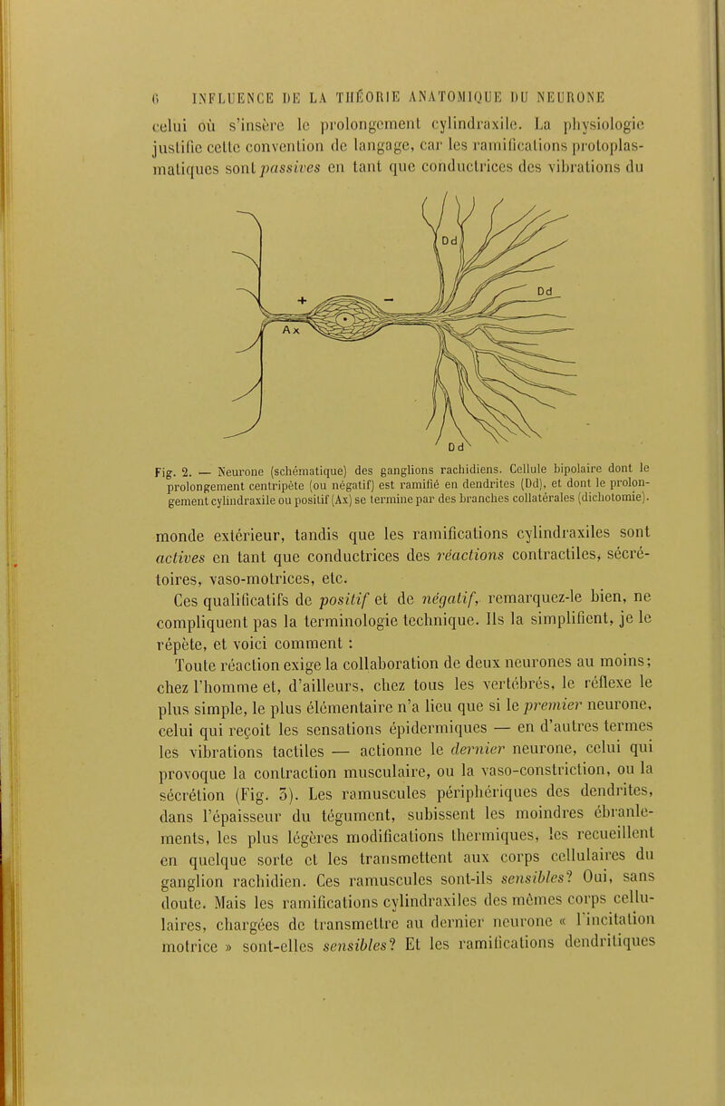 celui où s'insère le prolongement cylindraxile. La physiologie juslilic celle convenlion de langage, car les raniificalions pi oloplas- maliqucs sonlpassives en lant que conduclrices des vibrations du Fig. 2. — Neurone (schématique) des ganglions rachidiens. Cellule bipolaire dont le prolongement centripète (ou négatif) est i-amifié en dendrites (Dd), et dont le prolon- gement cylindraxile ou positif (Ax) se termine par des branches collatérales (dichotomie). monde extérieur, tandis que les ramifications cylindraxiles sont actives en tant que conductrices des réactions contractiles, sécré- toires, vaso-motrices, etc. Ces qualificatifs de positif et de négatif, remarquez-le bien, ne compliquent pas la terminologie technique. Ils la simplifient, je le répète, et voici comment : Toute réaction exige la collaboration de deux neurones au moins; chez l'homme et, d'ailleurs, chez tous les vertébrés, le réflexe le plus simple, le plus élémentaire n'a lieu que si le premier neurone, celui qui reçoit les sensations épidermiques — en d'autres termes les vibrations tactiles — actionne le dernier neurone, celui qui provoque la contraction musculaire, ou la vaso-constriction, ou la sécrétion (Fig. 5). Les ramuscules périphériques des dendrites, dans l'épaisseur du tégument, subissent les moindres ébranle- ments, les plus légères raoditîcations thermiques, les recueillent en quelque sorte et les transmettent aux corps cellulaires du ganglion rachidien. Ces ramuscules sont-ils sensibles'! Oui, sans doute. Mais les ramifications cylindraxiles des mômes corps cellu- laires, chargées de transmettre au dernier neurone « rincitation motrice » sont-elles sensibles^! Et les ramifications dendriliques