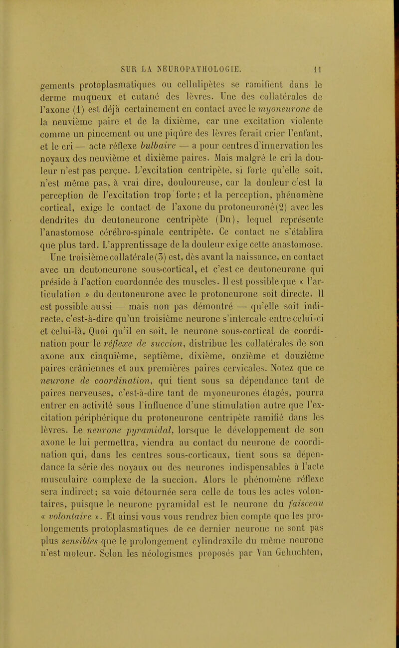 gemenls protoplasmaliqucs ou ccllulipèlcs se ramifienl dans le derme muqueux et cutané des lèvres. Une des collatérales de l'axone (1) est déjà certainement en contact avec le myoneitrone de la neuvième paire et de la dixième, car une excitation violente comme un pincement ou une piqûre des lèvres ferait crier reniant, et le cri— acte réflexe bulbaire — a pour centres d'innervation les noyaux des neuvième et dixième paires. Mais malgré le cri la dou- leur n'est pas perçue. L'excitation centripète, si forte qu'elle soit, n'est même pas, à vrai dire, douloureuse, car la douleur c'est la perception de l'excitation trop forte; et la perception, phénomène cortical, exige le contact de l'axone du protoneuronè(2) avec les dendrites du deutoneurone centripète (Dn), lequel représente l'anastomose cérébro-spinale centripète. Ce contact ne s'établira que plus tard. L'apprentissage de la douleur exige cette anastomose. Une troisième collatérale(3) est, dès avant la naissance, en contact avec un deutoneurone sous-cortical, et c'est ce deutoneurone qui préside à l'action coordonnée des muscles. 11 est possible que « l'ar- ticulation » du deutoneurone avec le protoneurone soit directe. 11 est possible aussi — mais non pas démontré — qu'elle soit indi- recte, c'est-à-dire qu'un troisième neurone s'intercale entre celui-ci et celui-là. Quoi qu'il en soit, le neurone sous-cortical de coordi- nation pour le réflexe de succion, distribue les collatérales de son axone aux cinquième, septième, dixième, onzième et douzième paires crâniennes et aux premières paires cervicales. Notez que ce neurone de coordination, qui tient sous sa dépendance tant de paires nerveuses, c'est-à-dire tant de myoneurones étagés, pourra entrer en activité sous l'influence d'une stimulation autre que l'ex- citation périphérique du protoneurone centripète ramifié dans les lèvres. Le neurone ■pijramidal, lorsque le développement de son axone le lui permettra, viendra au contact du neurone de coordi- nation qui, dans les centres sous-corticaux, tient sous sa dépen- dance la série des noyaux ou des neurones indispensables à l'acte musculaire complexe de la succion. Alors le phénomène réflexe sera indirect; sa voie détournée sera celle de tous les actes volon- taires, puisque le neurone pyramidal est le neurone du faisceau « volontaire ». Et ainsi vous vous rendrez bien compte que les pro- longements protoplasmatiques de ce dernier neurone ne sont pas plus sensibles que le prolongement cylindraxilc du même neurone n'est moteur. Selon les néologismes proposés par Van Gchuchlen,