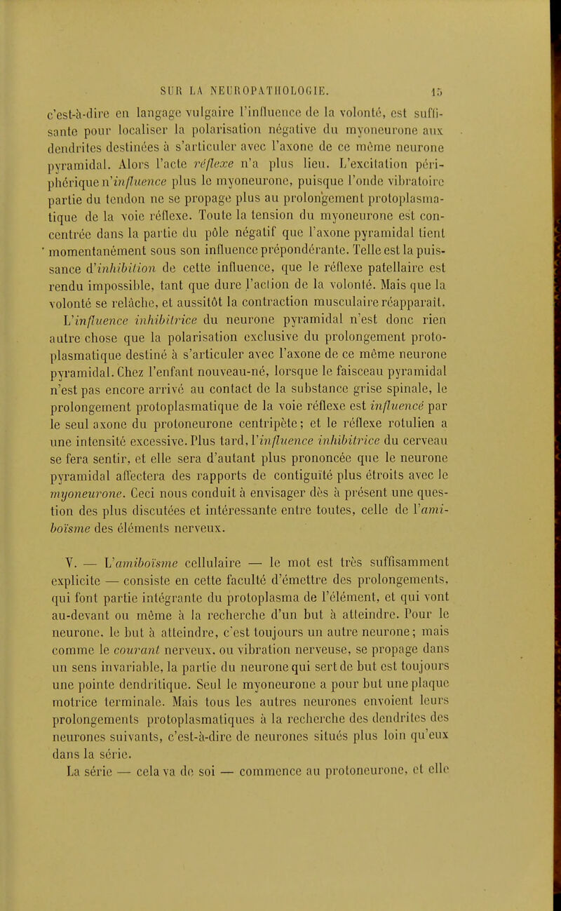 c'est-à-dire en langage vulgaire l'influence de la volonté, est suffi- sante pour localiser la polarisation négative du myoneurone aux dendrites destinées à s'articuler avec l'axone de ce môme neurone pyramidal. Alors l'acte réflexe n'a plus lieu. L'excitation péri- phérique n'zVi//i(e?ice plus le myoneurone, puisque l'onde vibi-atoire partie du tendon ne se propage plus au prolongement protoplasma- lique de la voie réflexe. Toute la tension du myoneurone est con- centrée dans la partie du pôle négatif que l'axone pyramidal tient ' momentanément sous son influence prépondérante. Telle est la puis- sance d'inhibition de cette influence, que le réflexe patellairc est rendu impossible, tant que dure l'action de la volonté. Mais que la volonté se relâche, et aussitôt la contraction musculaire réapparaît. Vinfliience inhibitrice du neurone pyramidal n'est donc rien autre chose que la polarisation exclusive du prolongement proto- plasmatique destiné à s'articuler avec l'axone de ce même neurone pyramidal. Chez l'enfant nouveau-né, lorsque le faisceau pyramidal n'est pas encore arrivé au contact de la substance grise spinale, le prolongement protoplasmatique de la voie réflexe est influencé par le seul axone du protoneurone centripète; et le réflexe rotulien a une intensité excessive. Plus \nvà,Vinfluence inhibitrice du cerveau se fera sentir, et elle sera d'autant plus prononcée que le neurone pyramidal afl'ectera des rapports de contiguïté plus étroits avec le myoneurone. Ceci nous conduit à envisager dès à présent une ques- tion des plus discutées et intéressante entre toutes, celle de Vami- boïsme des éléments nerveux. V. — Vamiboïsme cellulaire — le mot est très suffisamment explicite — consiste en cette faculté d'émettre des prolongements, qui font partie intégrante du protoplasma de l'élément, et qui vont au-devant ou même à la recherche d'un but à atteindre. Pour le neurone, le but à atteindre, c'est toujours un autre neurone; mais comme le courant nerveux, ou vibration nerveuse, se propage dans un sens invariable, la partie du neurone qui sert de but est toujours une pointe dendritique. Seul le myoneurone a pour but une plaque motrice terminale. Mais tous les autres neurones envoient leurs prolongements protoplasmatiques à la recherche des dendrites des neurones suivants, c'est-à-dire de neurones situés plus loin qu'eux dans la série. La série — cela va do soi — commence au protoneurone, et elle