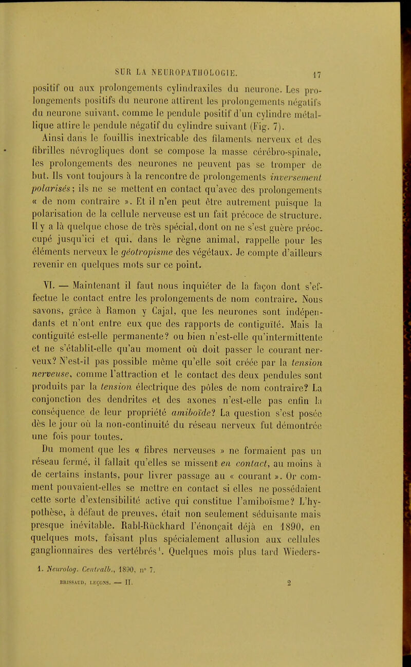 positif OU aux prolongemenls cylindraxiles du neurone. Les pro- longements positifs (lu neurone attirent les prolongements négatifs du neurone suivant, comme le pendule positif d'un cylindre métal- lique atlire le pendule négatif du cylindre suivant (Fig. 7). Ainsi dans le fouillis inextricable des filaments, nerveux et des fibrilles névrogliques dont se compose la masse cérébro-spinale, les prolongements des neurones ne peuvent pas se tromper de but. Ils vont toujours à la rencontre de prolongements inversement polarisés ; ils ne se mettent en contact qu'avec des prolongements « de nom contraire ». Et il n'en peut être autrement puisque la polarisation de la cellule nerveuse est un fait précoce de structure. Il y a là quelque chose de très spécial, dont on ne s'est guère préoc- cupé jusqu'ici et qui, dans le règne animal, rappelle pour les éléments nerveux le géotropisme des végétaux. Je compte d'ailleurs revenir en quelques mots sur ce point, VI. — Maintenant il faut nous inquiéter de la façon dont s'ef- fectue le contact entre les prolongements de nom contraire. Nous savons, grâce à Ramon y Cajal, que les neurones sont indépen- dants et n'ont entre eux que des rapports de contiguïté. Mais la contiguïté est-elle permanente? ou bien n'est-elle qu'intermittente et ne s'établit-elle qu'au moment où doit passer le courant ner- veux? N'est-il pas possible môme qu'elle soit créée par la tension nerveuse, comme l'attraction et le contact des deux pendules sont produits par la tension électrique des pôles de nom contraire? La conjonction des dendrites et des axones n'est-elle pas enfin la conséquence de leur propriété amiboïdel La question s'est posée dès le jour où la non-continuité du réseau nerveux fut démontrée une fois pour toutes. Du moment que les « fibres nerveuses » ne formaient pas un réseau fermé, il fallait qu'elles se missent' en contact, au moins à de certains instants, pour livrer passage au « courant ». Or com- ment pouvaient-elles se mettre en contact si elles ne possédaient cette sorte d'extensibilité active qui constitue l'amiboïsme? L'hy- pothèse, à défaut de preuves, était non seulement séduisante mais presque inévitable. Rabl-Rùckhard l'énonçait déjà en 1890, en quelques mots, faisant plus spécialement allusion aux cellules ganglionnaires des vertébrés'. Quelques mois plus tard Wieders- 1. Neurolog. Cenlralb., 1800, n 7. BUISSAID, l.liÇONS. II. 2