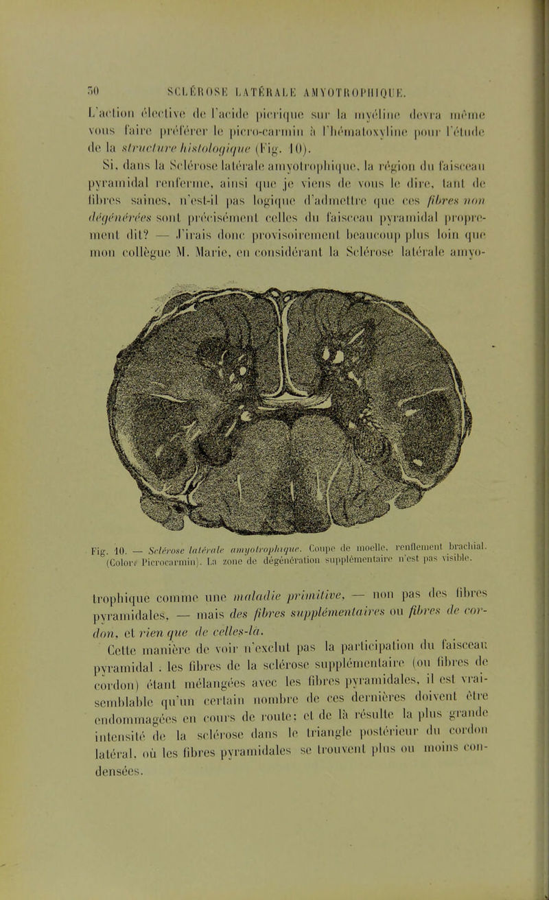''<» s(:lki{()sk i-atkhalk a.myotihiimiiquk. L'aclioii ('Iccliviî de racidc; |)i('ri(|ii(i sur la iiiy(''liii(' dcvia iikmik^ vous l'aii'C pri'IV'i'oi' le pici-o-oai'iiiiii à riiéiiiatoxyliiic pour réliidc (le la siriiclure hislolo(/i(int' (Ki^'. 10). Si, dans la Sc.lérosd lalôrah; amyolro|)lii(iii(\ la i'(''';ioii du laisceaii pyramidal rciifbnuo, ainsi que je viens de vous le dire, lanl de libres saines, n'esL-il pas lofiicpie (radniellre (pie ees fibres non (lé(j('n('ri''('.s sont pi'écisénienl celles du faisceau pyramidal propre- ment dil? — .rirais donc |)i'()visoiremenl lieanconp plus loin (pie mon collègue M. Mai'ie, en consi(l(;ranl la ScN'M'ose laUîrale amyo- Fig (Colora l'icrociirmin). La zone de dégénératioii supplémentaire n'est pas trophiquc comme une maladie primilive, — non pas des libres pyi-auiidales, — mais des fibres supplémentaires ou fibres de eor- don, et rien que de eelles-là. Cette manière de voir irexclul pas la participation du laisccau pyramidal . les libres de la sclérose supplûnienlaire (ou libres de cm'dou) (Haut mélang(ics avec les fibres pyramidales, il est vrai- semblable qu'un certain nombre de ces dernières doivent être endommagées en cours de route: et de là résulte la plus grande intensité de la scUh'Ose dans le triangle postérieur du cordon latéral, où les fibres pyramidales se trouvent plus ou inoins con- densées.