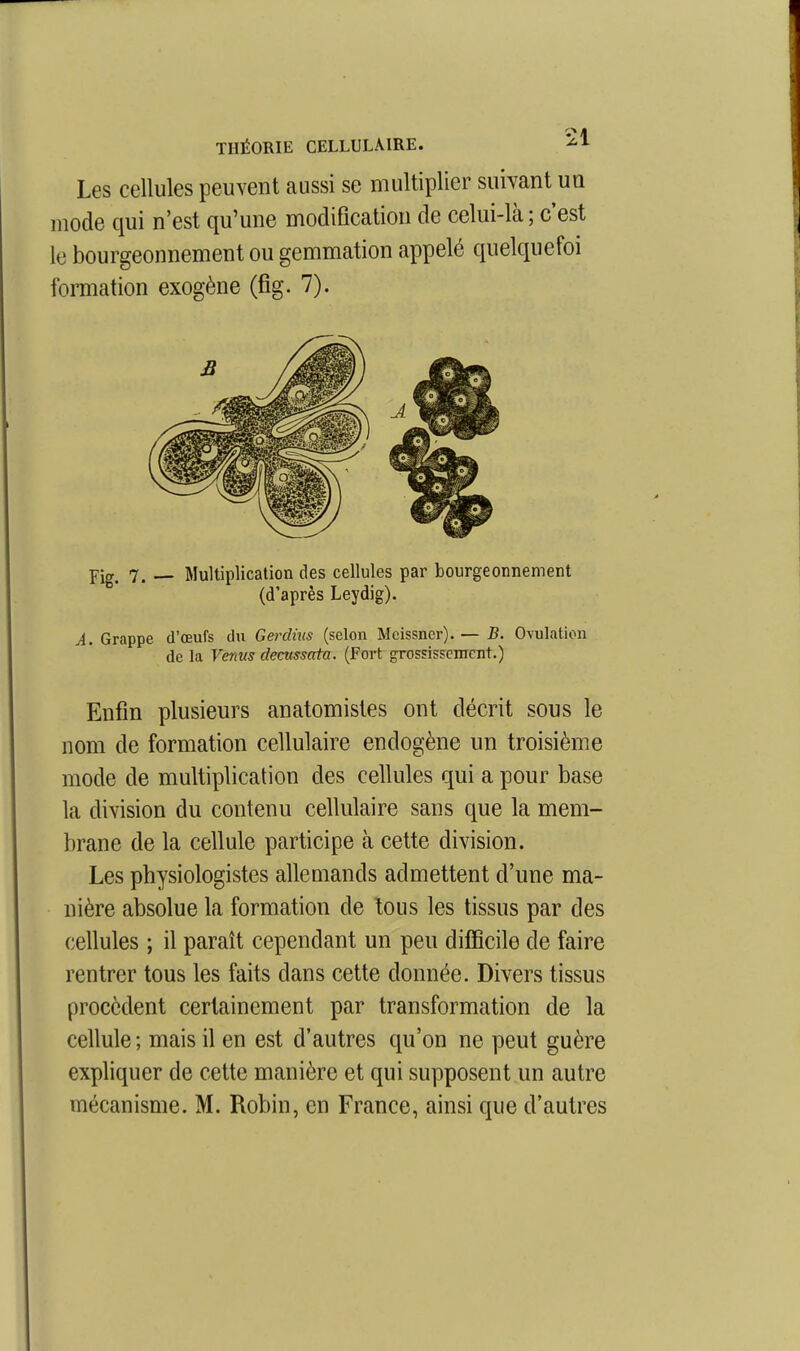 THÉORIE CELLULAIRE. ^1 Les cellules peuvent aussi se multiplier suivant un mode qui n'est qu'une modification de celui-là ; c'est le bourgeonnement ou gemmation appelé quelquefoi formation exogène (fig. 7). pig. 7. Multiplication des cellules par bourgeonnement (d'après Leydig). A. Grappe d'œufs du Gerdnis (selon Mcissner).— B. Ovulation de la Venus clecussata. (Fort grossissement.) Enfin plusieurs anatomistes ont décrit sous le nom de formation cellulaire endogène un troisième mode de multiplication des cellules qui a pour base la division du contenu cellulaire sans que la mem- brane de la cellule participe à cette division. Les physiologistes allemands admettent d'une ma- nière absolue la formation de tous les tissus par des cellules ; il paraît cependant un peu difficile de faire rentrer tous les faits dans cette donnée. Divers tissus procèdent certainement par transformation de la cellule ; mais il en est d'autres qu'on ne peut guère expliquer de cette manière et qui supposent un autre mécanisme. M. Robin, en France, ainsi que d'autres