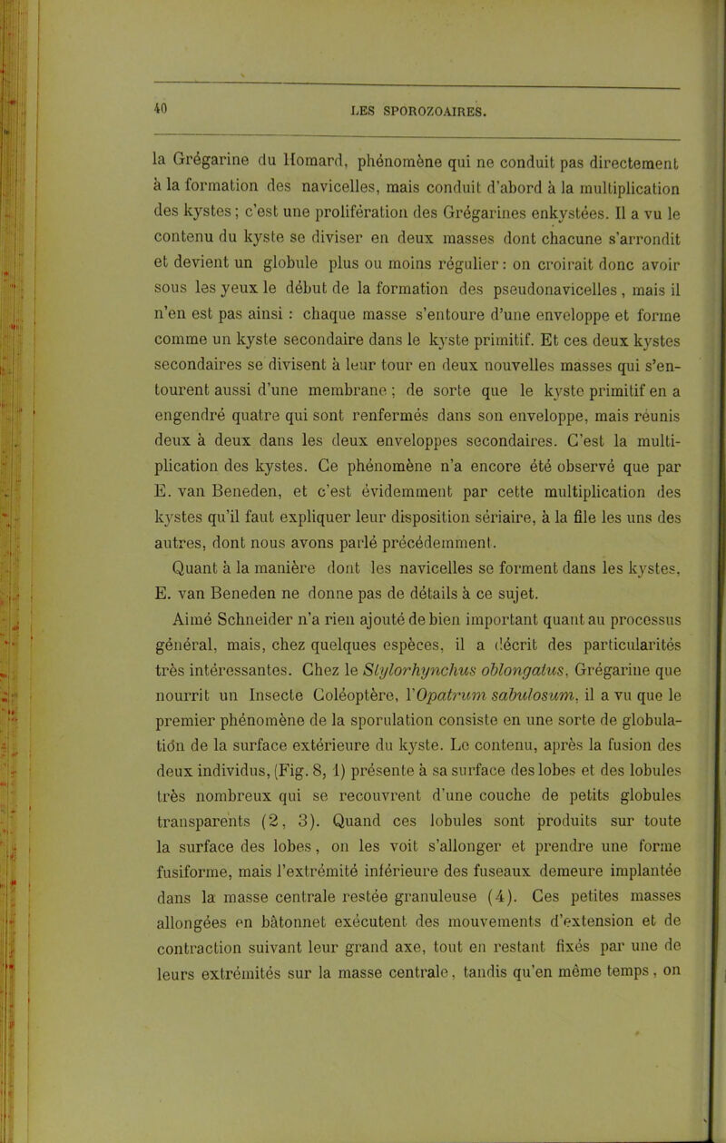 la Grégarine du Homard, phénomène qui ne conduit pas directement à la formation des navicelles, mais conduit d’abord à la multiplication des kystes ; c’est une prolifération des Grégarines enkystées. Il a vu le contenu du kyste se diviser en deux masses dont chacune s’arrondit et devient un globule plus ou moins régulier: on croirait donc avoir sous les yeux le début de la formation des pseudonavicelles , mais il n’en est pas ainsi : chaque masse s’entoure d’une enveloppe et forme comme un kyste secondaire dans le kyste primitif. Et ces deux kystes secondaires se divisent à leur tour en deux nouvelles masses qui s’en- tourent aussi d’une membrane ; de sorte que le kyste primitif en a engendré quatre qui sont renfermés dans son enveloppe, mais réunis deux à deux dans les deux enveloppes secondaires. C’est la multi- plication des kystes. Ce phénomène n’a encore été observé que par E. van Beneden, et c’est évidemment par cette multiplication des kystes qu’il faut expliquer leur disposition sériaire, à la file les uns des autres, dont nous avons parlé précédemment. Quant à la manière dont les navicelles se forment dans les kystes, E. van Beneden ne donne pas de détails à ce sujet. Aimé Schneider n’a rien ajouté de bien important quant au processus général, mais, chez quelques espèces, il a décrit des particularités très intéressantes. Chez le Slylorhynclius oblongatus, Grégarine que nourrit un Insecte Coléoptère, YOpatrum sabulosum, il a vu que le premier phénomène de la sporulation consiste en une sorte de globula- tiôn de la surface extérieure du kyste. Le contenu, après la fusion des deux individus, (Fig. 8, 1) présente à sa surface des lobes et des lobules très nombreux qui se recouvrent d’une couche de petits globules transparents (2, 3). Quand ces lobules sont produits sur toute la surface des lobes, on les voit s’allonger et prendre une forme fusiforme, mais l’extrémité inférieure des fuseaux demeure implantée dans la masse centrale restée granuleuse (4). Ces petites masses allongées en bâtonnet exécutent des mouvements d’extension et de contraction suivant leur grand axe, tout en restant fixés par une de leurs extrémités sur la masse centrale, tandis au’en même temps, on