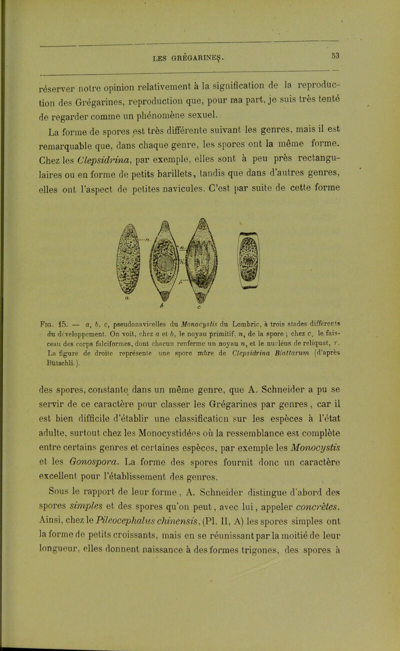 réserver notre opinion relativement à la signification de la reproduc- tion des Grégarines, reproduction que, pour ma part, je suis très tenté de regarder comme un phénomène sexuel. La forme de spores est très différente suivant les genres, mais il est remarquable que, dans chaque genre, les spores ont la même forme. Chez les Clepsidrina, par exemple, elles sont à peu près rectangu- laires ou en forme de petits barillets, tandis que dans d’autres genres, elles ont l’aspect de petites navicules. C’est par suite de cette forme Fig. 15. — a, b. c, pseudonavicelles du Monocystis du Lombric, à trois stades différerts du développement. On voit, chez a et b, le noyau primitif, », de la spore ; chez c, le fais- ceau des corps falciformes, dont chacun renferme un noyau », et le nucléus de reliquat, r. La figure de droite représente une spore mûre de Clepsidrina Biattarum (d’après Btitschli.). des spores, constante dans un même genre, que A. Schneider a pu se servir de ce caractère pour classer les Grégarines par genres, car il est bien difficile d’établir une classification sur les espèces à l’état adulte, surtout chez les Monocystidées où la ressemblance est complète entre certains genres et certaines espèces, par exemple les Monocystis et les Gonospora. La forme des spores fournit donc un caractère excellent pour l’établissement des genres. Sous le rapport de leur forme, A. Schneider distingue d’abord des spores simples et des spores qu’on peut, avec lui, appeler concrètes. Ainsi, chez le Pileocephalus chinensis, (PL II, A) les spores simples ont la forme de petits croissants, mais en se réunissant par la moitié de leur longueur, elles donnent naissance à des formes trigones, des spores à 6 C