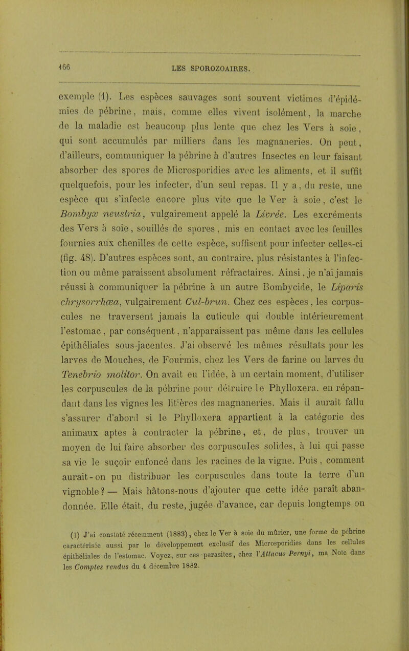 \ 66 exemple (1). Les espèces sauvages sont souvent victimes d’épidé- mies do pébrine. mais, comme elles vivent isolément, la marche de la maladie est beaucoup plus lente que chez les Vers à soie, qui sont accumulés par milliers dans les magnaneries. On peut, d’ailleurs, communiquer la pébrine à d’autres Insectes en leur faisant absorber des spores de Microsporidies avec les aliments, et il suffit quelquefois, pour les infecter, d’un seul repas. Il y a, du reste, une espèce qui s’infecte encore plus vite que leVer à soie, c’est le Bombyx neustria, vulgairement appelé la Livrée. Les excréments des Vers à soie, souillés de spores, mis en contact avec les feuilles fournies aux chenilles de cette espèce, suffisent pour infecter celles-ci (fig. 48). D’autres espèces sont, au contraire, plus résistantes à l’infec- tion ou môme paraissent absolument réfractaires. Ainsi. je n’ai jamais réussi à communiquer la pébrine à un autre Bombycide, le Liparis chrysorrhœa, vulgairement Cul-brun. Chez ces espèces, les corpus- cules ne traversent jamais la cuticule qui double intérieurement l’estomac , par conséquent, n’apparaissent pas même dans les cellules épithéliales sous-jacentes. J’ai observé les mêmes résultats pour les larves de Mouches, de Fourmis, chez les Vers de farine ou larves du Tenebrio molitor. On avait eu l'idée, à un certain moment, d’utiliser les corpuscules de la pébrine pour détruire le Phylloxéra, en répan- dant dans les vignes les litières des magnaneries. Mais il aurait fallu s’assurer d’abord si le Phylloxéra appartient à la catégorie des animaux aptes à contracter la pébrine, et, de plus, trouver un moyen de lui faire absorber des corpuscules solides, à lui qui passe sa vie le suçoir enfoncé dans les racines de la vigne. Puis , comment aurait-on pu distribuai1 les corpuscules dans toute la terre dun vignoble? — Mais hâtons-nous d’ajouter que cette idée paraît aban- donnée. Elle était, du reste, jugée d’avance, car depuis longtemps on (1) J’ai constaté récemment (1883), chez le Ver à soie du mûrier, une forme do pebrine caractérisée aussi par le développement exclusif des Microsporidies dans les cellules épithéliales do l’estomac. Voyez, sur ces parasites, chez YAUucus Pernyi, ma Note dans les Comptes rendus du 4 décembre 1882.