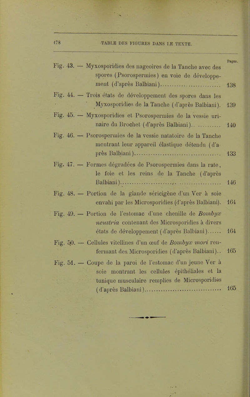 Fig. 43. — Myxosporidies des nageoires de la Tanche avec des spores ( Psorospermies ) en voie de développe- ment (d’après Balbiani) 138 Fig. 44. — Trois clats de développement des spores dans les Myxosporidies de la Tanche (d’après Balbiani). 139 Fig. 45. — Myxosporidies et Psorospermies de la vessie uri- naire du Brochet (d’après Balbiani) 140 Fig. 46. — Psorospermies de la vessie natatoire de la Tanche montrant leur appareil élastique détendu (d’a près Balbiani ) 133 Fig. 47. — Formes dégradées de Psorospermies dans la rate, le foie et les reins de la Tanche (d’après Balbiani) 146 Fig. 48. — Portion de la glande séricigène d’un Ver à soie envahi par les Microsporidies (d’après Balbiani). 164 Fig. 49. — Portion de l’estomac d’une chenille de Bombyx neuslria contenant des Microsporidies à divers états de développement (d’après Balbiani) 164 Fig. qO. — Cellules vitellines d’un œuf de Bombyx mori ren- fermant des Microsporidies (d’après Balbiani).. 165 Fig. 51. — Coupe de la paroi de l’estomac d’un jeune Ver à soie montrant les cellules épithéliales et la tunique musculaire remplies de Microsporidies ( d’après Balbiani ) 165