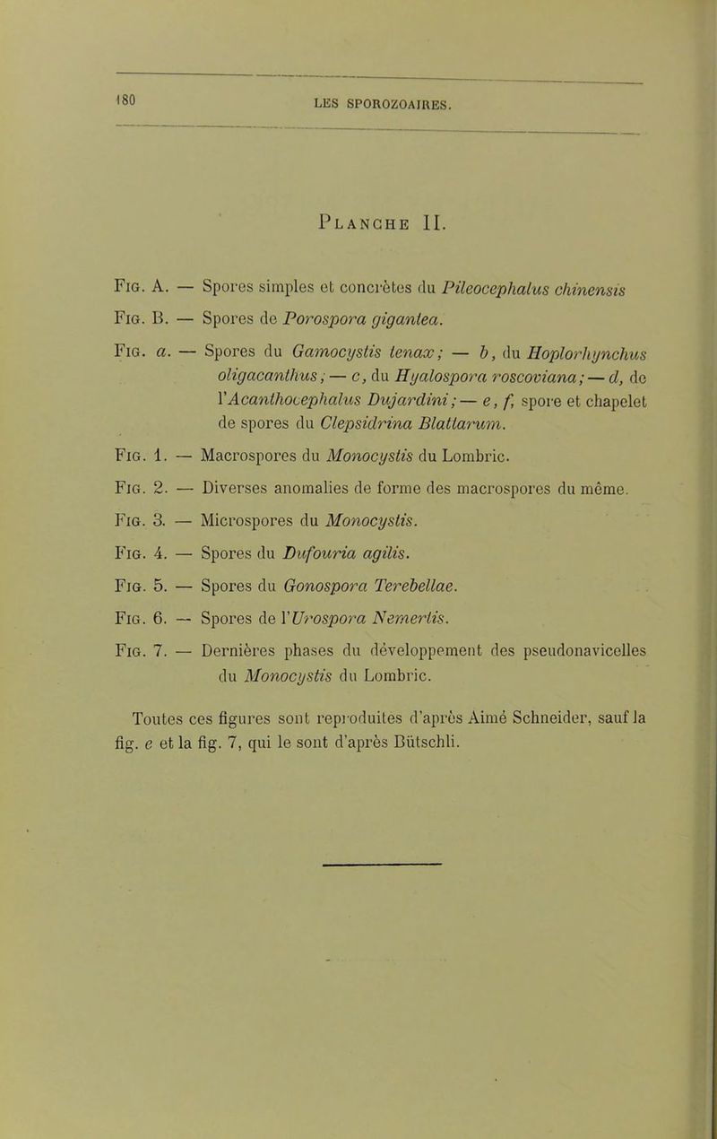 Planche II. Fig. A. — Spores simples et concrètes du Pileocephalus chinensis Fig. B. — Spores de Porospora yiganlea. Fig. a. — Spores du Gamocystis tenax; — b, du Hoplorliynchus oligacanthus, — c, du Hyalosporci roscoviana; — d, de YAcanthocephalus Dujcirdini ; — e, f, spore et chapelet de spores du Clepsidrina Blattarum. Fig. 1. — Macrospores du Monocystis du Lombric. Fig. 2. — Diverses anomalies de forme des macrospores du môme. Fig. 3. — Microspores du Monocystis. Fig. 4. — Spores du Dufouria agilis. Fig. 5. — Spores du Gonospora Terebellae. Fig. 6. — Spores de YUrospora Nemertis. Fig. 7. — Dernières phases du développement des pseudonavicelles du Monocystis du Lombric. Toutes ces figures sont reproduites d’après Aimé Schneider, sauf la fig. e et la fig. 7, qui le sont d’après Biïtschli.