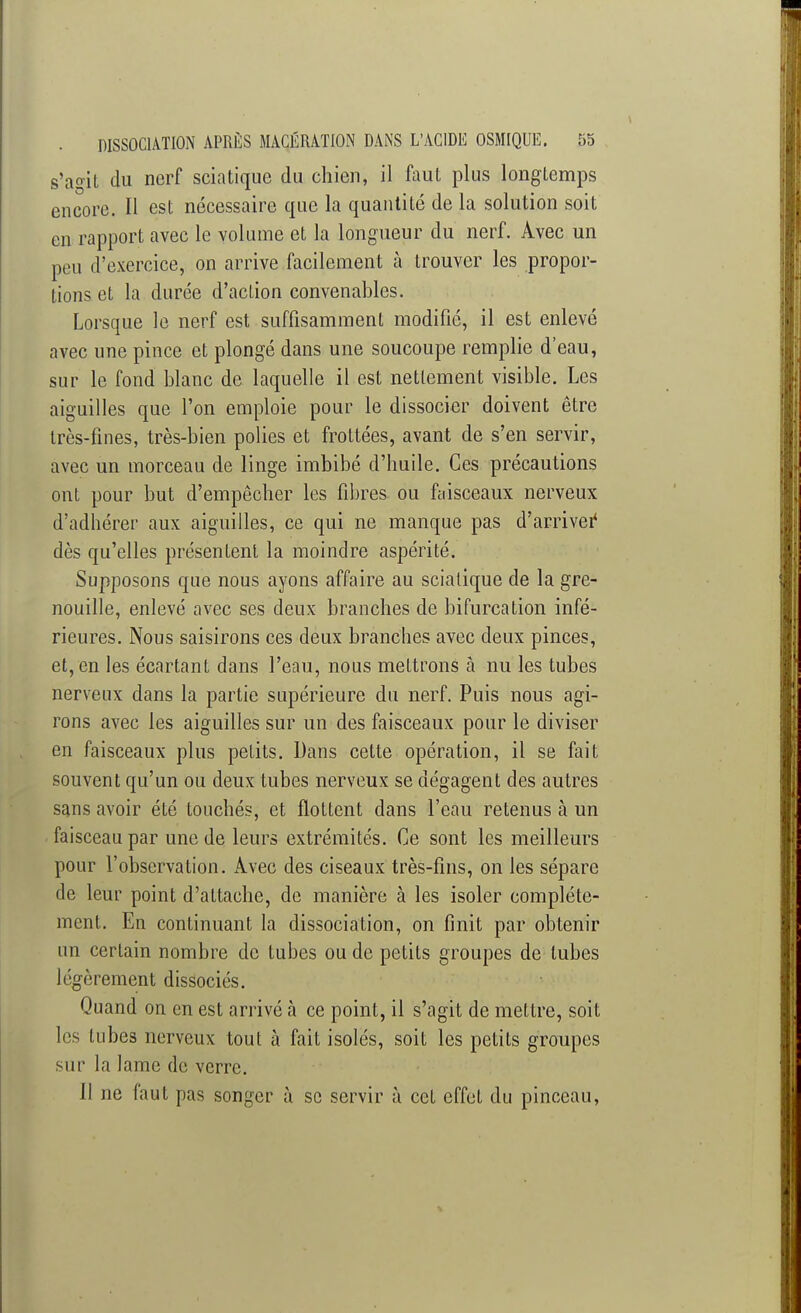 sVit du nerf sciatique du chien, il faut plus longLemps encore. Il est nécessaire que la quantité de la solution soit en rapport avec le volume et la longueur du nerf. Avec un peu d'exercice, on arrive facilement à trouver les propor- tions et la durée d'action convenables. Lorsque le nerf est suffisamment modifié, il est enlevé avec une pince et plongé dans une soucoupe remplie d'eau, sur le fond blanc de laquelle il est nettement visible. Les aiguilles que l'on emploie pour le dissocier doivent être très-fines, très-bien polies et frottées, avant de s'en servir, avec un morceau de linge imbibé d'huile. Ces précautions ont pour but d'empêcher les fibres ou faisceaux nerveux d'adhérer aux aiguilles, ce qui ne manque pas d'arriver dès qu'elles présentent la moindre aspérité. Supposons que nous ayons affaire au sciatique de la gre- nouille, enlevé avec ses deux branches de bifurcation infé- rieures. Nous saisirons ces deux branches avec deux pinces, et, en les écartant dans l'eau, nous mettrons à nu les tubes nerveux dans la partie supérieure du nerf. Puis nous agi- rons avec les aiguilles sur un des faisceaux pour le diviser en faisceaux plus petits. Dans cette opération, il se fait souvent qu'un ou deux tubes nerveux se dégagent des autres sans avoir été touchés, et flottent dans l'eau retenus à un faisceau par une de leurs extrémités. Ce sont les meilleurs pour l'observation. Avec des ciseaux très-fins, on les sépare de leur point d'attache, de manière à les isoler complète- ment. En continuant la dissociation, on finit par obtenir un certain nombre de tubes ou de petits groupes de tubes légèrement dissociés. Quand on en est arrivé h ce point, il s'agit de mettre, soit les tubes nerveux tout à fait isolés, soit les petits groupes sur la lame de verre. Il ne faut pas songer à se servir à ceL effet du pinceau,
