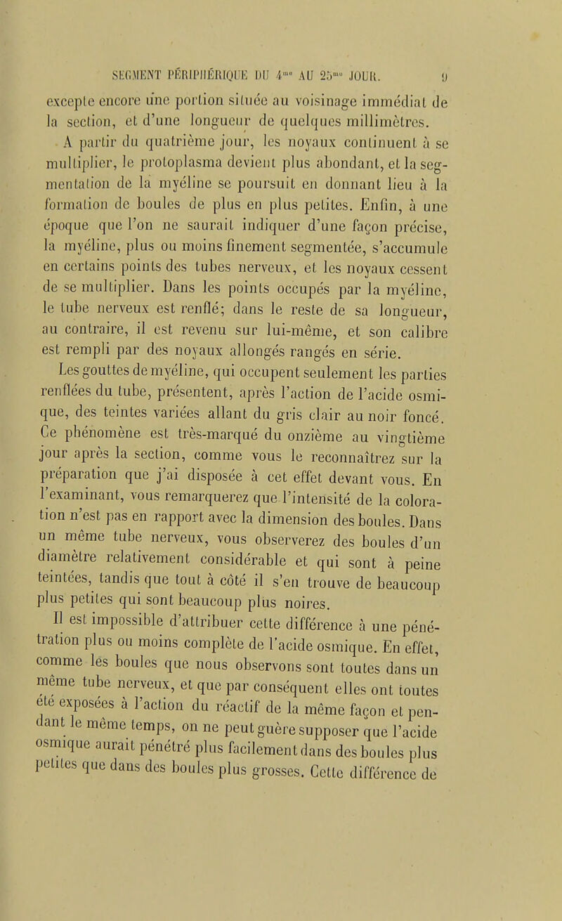 excepte encore une portion située au voisinage immédiat de la section, et d'une longueur de quelques millimètres. A partir du quatrième jour, les noyaux continuent à se multiplier, le protoplasma devient plus abondant, et la seg- mentation de la myéline se poursuit en donnant lieu à la formation de boules de plus en plus petites. Enfin, à une époque que l'on ne saurait indiquer d'une façon précise, la myéline, plus ou moins finement segmentée, s'accumule en certains points des tubes nerveux, et les noyaux cessent de se multiplier. Dans les points occupés par la myéline, le tube nerveux est renflé; dans le reste de sa longueur, au contraire, il est revenu sur lui-même, et son calibre est rempli par des noyaux allongés rangés en série. Les gouttes de myéline, qui occupent seulement les parties renflées du tube, présentent, après l'action de l'acide osmi- que, des teintes variées allant du gris clair au noir foncé. Ce phénomène est très-marqué du onzième au vingtième jour après la section, comme vous le reconnaîtrez sur la préparation que j'ai disposée à cet effet devant vous. En l'examinant, vous remarquerez que l'intensité de la colora- tion n'est pas en rapport avec la dimension des boules. Dans un même tube nerveux, vous observerez des boules d'un diamètre relativement considérable et qui sont à peine teintées, tandis que tout à côté il s'en trouve de beaucoup plus petites qui sont beaucoup plus noires. H est impossible d'attribuer cette différence à une péné- tration plus ou moins complète de l'acide osmique. En effet, comme les boules que nous observons sont toutes dans un même tube nerveux, et que par conséquent elles ont toutes ete exposées à l'action du réactif de la même façon et pen- dant le même temps, on ne peut guère supposer que l'acide osmique aurait pénétré plus facilement dans des boules plus pentes que dans des boules plus grosses. Cette différence de