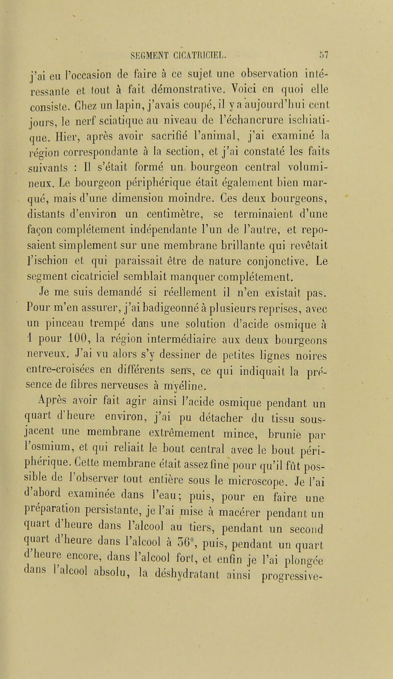 j'ai eu l'occasion de faire à ce sujet une observation inté- ressante et lout à fait démonstrative. Voici en quoi elle consiste. Chez un lapin, j'avais coupé, il y a aujourd'hui cent jours, le nerf scia tique au niveau de l'échancrure ischiati- que. Hier, après avoir sacrifié l'animal, j'ai examiné la région correspondante à la section, et j'ai constaté les faits suivants : Il s'était formé un bourgeon central volumi- neux. Le bourgeon périphérique était également bien mar- qué, mais d'une dimension moindre. Ces deux bourgeons, distants d'environ un centimètre, se terminaient d'une façon complètement indépendante l'un de l'autre, et repo- saient simplement sur une membrane brillante qui revêlait l'ischion et qui paraissait être de nature conjonctive. Le segment cicatriciel semblait manquer complètement. Je me suis demandé si réellement il n'en existait pas. Pour m'en assurer, j'ai badigeonné à plusieurs reprises, avec un pinceau trempé dans une solution d'acide osmique à 1 pour 100, la région intermédiaire aux deux bourgeons nerveux. J'ai vu alors s'y dessiner de petites lignes noires entre-croisées en différents sens, ce qui indiquait la pré- sence de fibres nerveuses à myéline. Après avoir fait agir ainsi l'acide osmique pendant un quart d'heure environ, j'ai pu détacher du tissu sous- jacent une membrane extrêmement mince, brunie par l'osmium, et qui reliait le bout central avec le bout péri- phérique. Cette membrane était assez fine pour qu'il fût pos- sible de l'observer tout entière sous le microscope. Je l'ai d'abord examinée dans l'eau; puis, pour en faire une préparation persistante, je l'ai mise à macérer pendant un quart d'heure dans l'alcool au tiers, pendant un second quart d'heure dans l'alcool à 56°, puis, pendant un quart d'heure encore, dans l'alcool forl, et enfin je l'ai plongée dans l'alcool absolu, la déshydratant ainsi progressive-