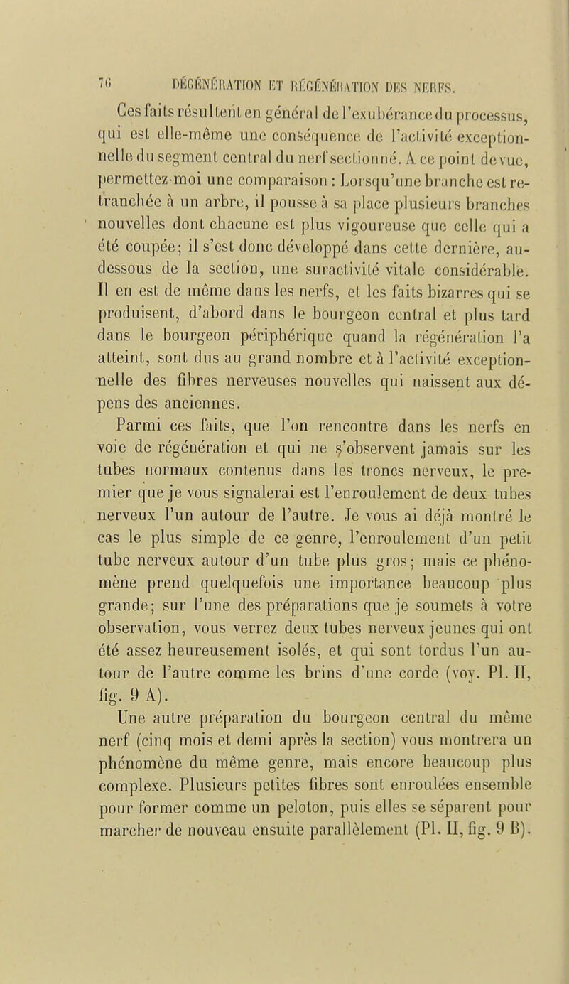 Ces faits résultent en général de l'exubérance du processus, qui est elle-même une conséquence de l'activité exception- nelle du segment central du nerf sectionné. A ce point de vue, permettez-moi une comparaison: Lorsqu'une branche est re- tranchée à un arbre, il pousse à sa place plusieurs branches nouvelles dont chacune est plus vigoureuse que celle qui a été coupée; il s'est donc développé dans cette dernière, au- dessous de la section, une suractivité vitale considérable. Il en est de même dans les nerfs, et les faits bizarres qui se produisent, d'abord dans le bourgeon central et plus tard dans le bourgeon périphérique quand la régénération l'a atteint, sont dus au grand nombre et à l'activité exception- nelle des fibres nerveuses nouvelles qui naissent aux dé- pens des anciennes. Parmi ces faits, que l'on rencontre dans les nerfs en voie de régénération et qui ne s'observent jamais sur les tubes normaux contenus dans les troncs nerveux, le pre- mier que je vous signalerai est l'enroulement de deux tubes nerveux l'un autour de l'autre. Je vous ai déjà montré le cas le plus simple de ce genre, l'enroulement d'un petit tube nerveux autour d'un tube plus gros; mais ce phéno- mène prend quelquefois une importance beaucoup plus grande; sur l'une des préparations que je soumets à votre observation, vous verrez deux tubes nerveux jeunes qui ont été assez heureusement isolés, et qui sont tordus l'un au- tour de l'autre comme les brins d'une corde (voy. Pl. II, fig. 9 À). Une autre préparation du bourgeon central du même nerf (cinq mois et demi après la section) vous montrera un phénomène du même genre, mais encore beaucoup plus complexe. Plusieurs petites fibres sont enroulées ensemble pour former comme un peloton, puis elles se séparent pour marcher de nouveau ensuite parallèlement (Pl. II, fig. 9 B).