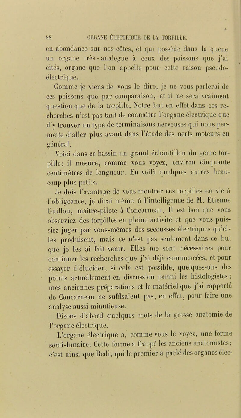 en abondance sur nos côtes, et qui possède dans la queue un organe très - analogue à ceux des poissons que j'ai cités, organe que l'on appelle pour cette raison pseudo- éléctrique. Comme je viens de vous le dire, je ne vous parlerai de ces poissons que par comparaison, et il ne sera vraiment question que de la torpille. Notre but en effet dans ces re- cherches n'est pas tant de connaître l'organe électrique que d'y trouver un type de terminaisons nerveuses qui nous per- mette d'aller plus avant dans l'étude des nerfs moteurs en général. Voici dans ce bassin un grand échantillon du genre tor- pille; il mesure, comme vous voyez, environ cinquante centimètres de longueur. En voilà quelques autres beau- coup plus petits. Je dois l'avantage de vous montrer ces torpilles en vie à l'obligeance, je dirai même à l'intelligence de M. Etienne Guillou, maître-pilote à Concarneau. Il est bon que vous observiez des torpilles en pleine activité et que vous puis- siez juger par vous-mêmes des secousses électriques qu'el- les produisent, mais ce n'est pas seulement dans ce but que je les ai fait venir. Elles me sont nécessaires pour continuer les recherches que j'ai déjà commencées, et pour essayer d'élucider, si cela est possible, quelques-uns des points actuellement en discussion parmi les hislologistes ; mes anciennes préparations et le matériel que j'ai rapporté de Concarneau ne suffisaient pas, en effet, pour faire une analyse aussi minutieuse. Disons d'abord quelques mots de la grosse analomie de l'organe électrique. L'organe électrique a, comme vous le voyez, une forme semi-lunaire. Cette forme a frappé les anciens anatomistes ; c'est ainsi queRedi, qui le premier a parlé des organes élec-