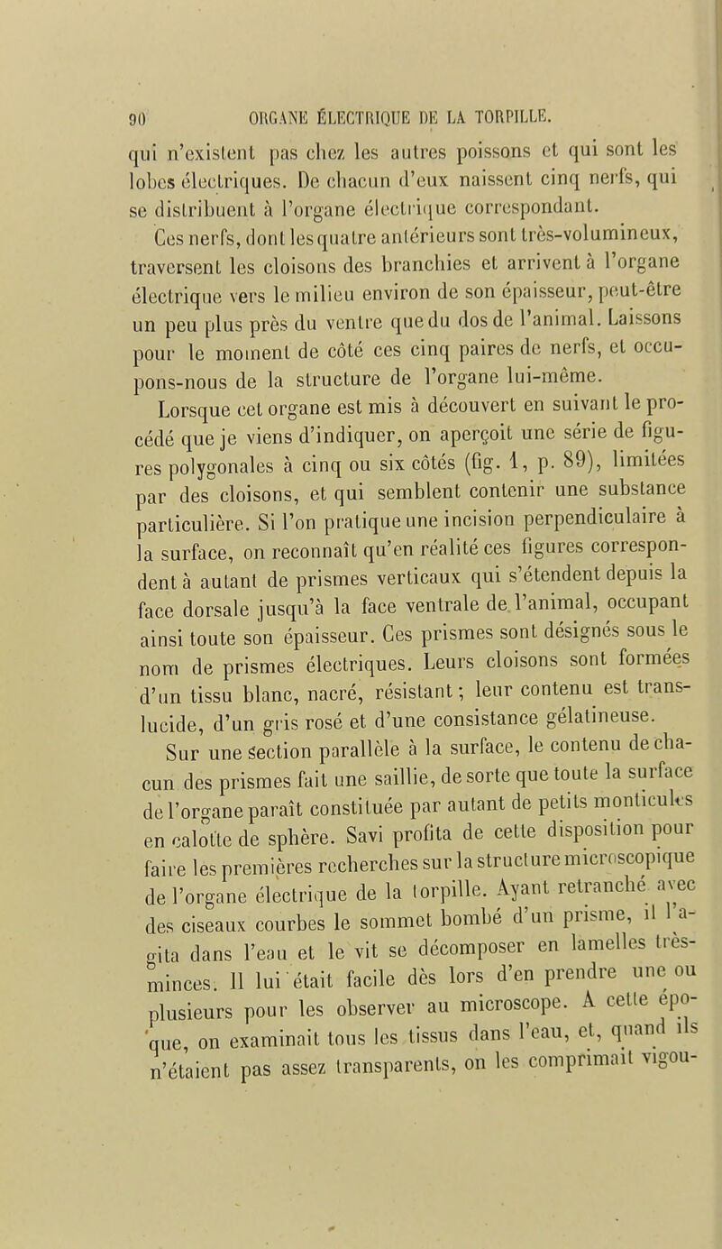 qui n'existent pas chez les autres poissons et qui sont les lobes électriques. De chacun d'eux naissent cinq nerfs, qui se distribuent à l'organe électrique correspondant. Ces nerfs, dont les quatre antérieurs sont très-volumineux, traversent les cloisons des branchies et arrivent à l'organe électrique vers le milieu environ de son épaisseur, peut-être un peu plus près du ventre quedu dos de l'animal. Laissons pour le moment de côté ces cinq paires de nerfs, et occu- pons-nous de la structure de l'organe lui-môme. Lorsque cet organe est mis à découvert en suivant le pro- cédé que je viens d'indiquer, on aperçoit une série de figu- res polygonales à cinq ou six côtés (fig. 1, p. 89), limitées par des cloisons, et qui semblent contenir une substance particulière. Si l'on pratique une incision perpendiculaire à la surface, on reconnaît qu'en réalité ces figures correspon- dent à autant de prismes verticaux qui s'étendent depuis la face dorsale jusqu'à la face ventrale de l'animal, occupant ainsi toute son épaisseur. Ces prismes sont désignés sous le nom de prismes électriques. Leurs cloisons sont formées d'un tissu blanc, nacré, résistant; leur contenu est trans- lucide, d'un gris rosé et d'une consistance gélatineuse. Sur une section parallèle à la surface, le contenu de cha- cun des prismes fait une saillie, de sorte que toute la surface de l'organe paraît constituée par autant de petits monticuks en calotte de sphère. Savi profita de cette disposition pour faire les premières recherches sur la structure microscopique de l'organe électrique de la torpille. Ayant retranché avec des ciseaux courbes le sommet bombé d'un prisme, il 1 a- gita dans l'eau et le vit se décomposer en lamelles tres- minces. 11 lui était facile dès lors d'en prendre une ou plusieurs pour les observer au microscope. A cette épo- que, on examinait tous les tissus dans l'eau, et, quand ils n'étaient pas assez transparents, on les comprimait vigoi