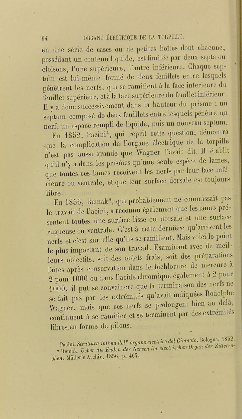 en une série de cases ou de petites boîtes dont chacune, possédant un contenu liquide, esL limitée par deux septa ou cloisons, l'une supérieure, l'autre inférieure. Chaque sep- tum est lui-même formé de deux feuillets entre lesquels pénètrent les nerfs, qui se ramifient à la face inférieure du feuillet supérieur, et à la face supérieure du feuillet inférieur. Il y a donc successivement dans la hauteur du prisme : un septum composé de deux feuillets entre lesquels pénètre un nerf, un espace rempli de liquide, puis un nouveau septum. En 1852, Pacini1, qui reprit celte question, démontra que la complication de l'organe électrique de la torpille n'est pas aussi grande que Wagner l'avait dit. Il établit qu'il n'y a dans les prismes qu'une seule espèce de lames, que toutes ces lames reçoivent les nerfs par leur face infé- rieure ou ventrale, et que leur surface dorsale est toujours libre. En 1856, Remak\ qui probablement ne connaissait pas le travail de Pacini, a reconnu également que les lames pré- sentent toutes une surface lisse ou dorsale et une surface rugueuse ou venlrale. C'est à cette dernière qu'arrivent les nerfs et c'est sur elle qu'ils se ramifient. Mais voici le point le plus important de son travail. Examinant avec de meil- leurs objectifs, soit des objets frais, soit des préparations faites après conservation dans le bichlorure de mercure a 2 pour 1000 ou dans l'acide chromique également a l pour 1000, il put se convaincre que la terminaison des nerfs ne se fait pas par les extrémités qu'avait indiquées Rodolphe Wagner, mais que ces nerfs se prolongent bien au delà, eontinuent à se ramifier et se terminent par des extrémités libres.en forme de pilons. Pacini.. Strultura intima dell' organe clectrico dcl Ghnnolo. Bologna 1852 . Remak! Ucber die Enden der Nerven im electmchen Organ de, Zitterro ohen. Mûller's Avclùv, 18d0, p. 407.