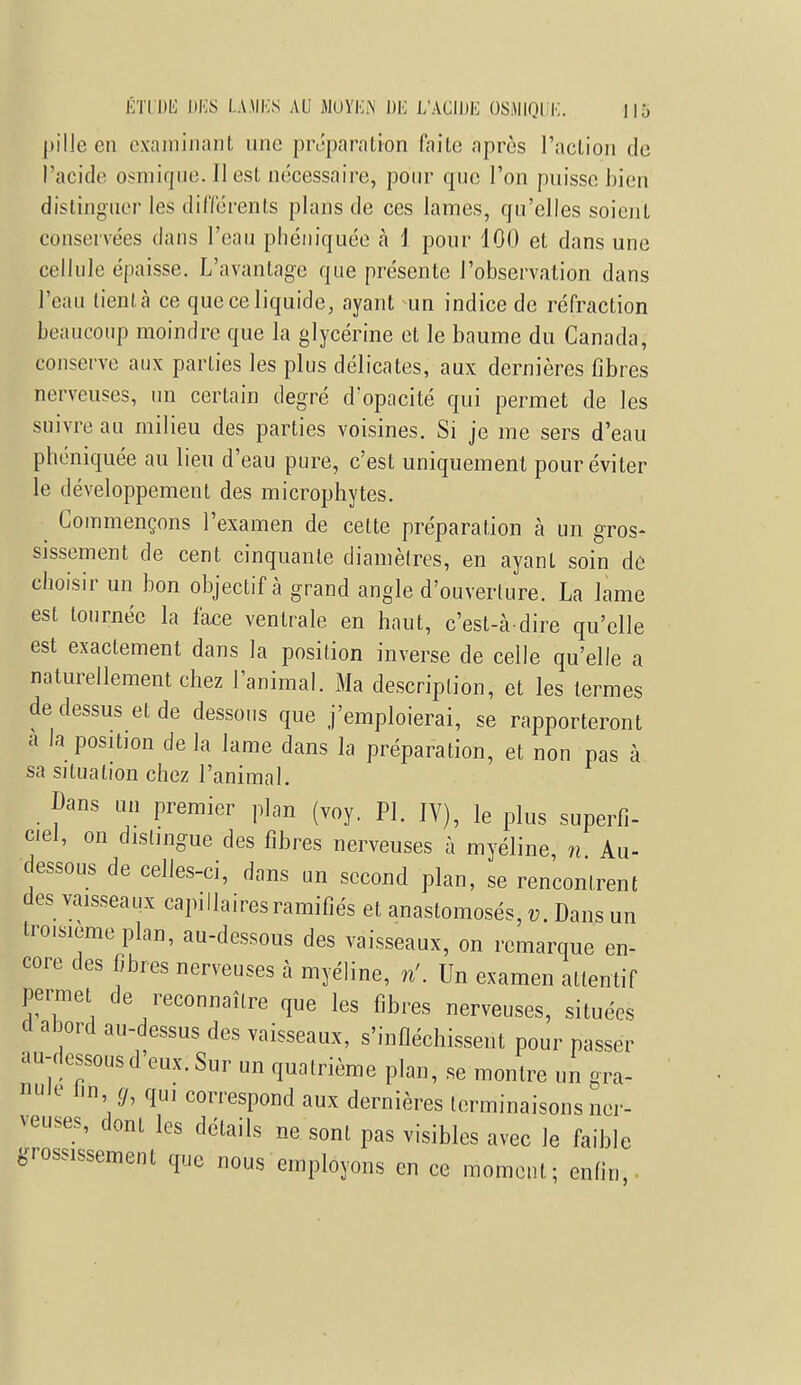 pille en examinant une préparation faite après l'action de l'acide osniiqne. Il est nécessaire, pour que l'on puisse bien distinguer les différents plans de ces lames, qu'elles soient conservées dans l'eau phéniquée à i pour 100 et dans une cellule épaisse. L'avantage que présente l'observation dans l'eau lient à ce que ce liquide, ayant un indice de réfraction beaucoup moindre que la glycérine et le baume du Canada, conserve aux parties les plus délicates, aux dernières fibres nerveuses, un certain degré d'opacité qui permet de les suivre au milieu des parties voisines. Si je me sers d'eau phéniquée au lieu d'eau pure, c'est uniquement pour éviter le développement des microphytes. Commençons l'examen de celte préparation à un gros- sissement de cent cinquante diamètres, en ayant soin de choisir un bon objectif à grand angle d'ouverlure. La lame est tournée la face ventrale en haut, c'est-à-dire qu'elle est exactement dans la position inverse de celle qu'elle a naturellement chez l'animal. Ma description, et les termes de dessus et de dessous que j'emploierai, se rapporteront a la position de la lame dans la préparation, et non pas à sa situation chez l'animal. Dans un premier plan (voy. Pl. IV), le plus superfi- ciel, on dislingue des fibres nerveuses à myéline, n Au- dessous de celles-ci, dans un second plan, se rencontrent des vaisseaux capillaires ramifiés et anastomosés, Dans un troisième plan, au-dessous des vaisseaux, on remarque en- core des fibres nerveuses à myéline, n'. Un examen attentif permet de reconnaître que les fibres nerveuses, situées A abord au-dessus des vaisseaux, s'infléchissent pour passer au-dessous d'eux. Sur un quatrième plan, se montre un gra- nde tin jr, qui correspond aux dernières terminaisons ner- veuses, dont les détails ne sont pas visibles avec le faible grossissement que nous employons en ce moment; enfin,