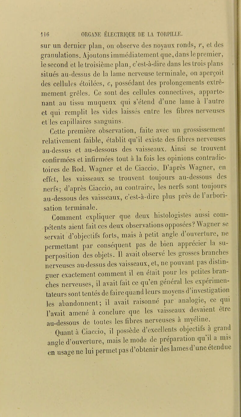 sur un dernier plan, on observe des noyaux ronds, r, el des granulations. Ajoutons immédiatement que, dans le premier, le second et le troisième plan, c'est-à-dire dans les trois plans situés au-dessus de la lame nerveuse terminale, on aperçoit des cellules étoilées, c, possédant des prolongements extrê- mement grêles. Ce sont des cellules connectives, apparte- nant au tissu muqueux qui s'étend d'une lame à l'autre et qui remplit les vides laissés entre les fibres nerveuses et les capillaires sanguins. Cette première observation, faite avec un grossissement relativement faible, établit qu'il existe des fibres nerveuses au-dessus et au-dessous des vaisseaux. Ainsi se trouvent confirmées el infirmées tout à la fois les opinions contradic- toires de Rod. Wagner et de Ciaccio. D'après Wagner, en effet, les vaisseaux se trouvent toujours au-dessous des nerfs; d'après Ciaccio, au contraire, les nerfs sont toujours au-dessous des vaisseaux, c'est-à-dire plus près de l'arbori- sation terminale. Comment expliquer que deux histologistes aussi com- pétents aient fait ces deux observations opposées? Wagner se servait d'objeclifs forts, mais à petit angle d'ouverture, ne permettant par conséquent pas de bien apprécier la su- perposition des objets. Il avait observé les grosses branches nerveuses au-dessus des vaisseaux, et, ne pouvant pas distin- guer exactement comment il en était pour les petilcs bran- ches nerveuses, il avait fait ce qu'en général les expérimen- tateurs sont tentés de faire quand leurs moyens d'investigation les abandonnent; il avait raisonné par analogie, ce qui l'avait amené à conclure que les vaisseaux devaient être au-dessous de toutes les fibres nerveuses à myéline. Quant à Ciaccio, il possède d'excellents objectits a grand an-le d'ouverture, mais le mode de préparation qu'il a mis en usa»ene lui permet pas d'obtenir des lames d'une étendue