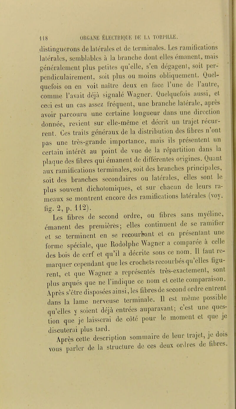 distinguerons de latérales et de terminales. Les ramifications latérales, semblables à la branche dont elles émanent, mais généralement plus petites qu'elle, s'en dégagent, soit per- pendiculairement, soit plus ou moins obliquement. Quel- quefois on en voit naître deux en face l'une de l'autre, comme l'avait déjà signalé Wagner. Quelquefois aussi, et ceci est un cas assez fréquent, une branche latérale, après avoir parcouru une certaine longueur dans une direction donnée, revient sur elle-même et décrit un trajet récur- rent. Ces traits généraux de la distribution des fibres n'ont pas une très-grande importance, mais ils présentent un certain intérêt au point de vue de la répartition dans la plaque des fibres qui émanent de différentes origines. Quant aux ramifications terminales, soit des branches principales, soit des branches secondaires ou latérales, elles sont le plus souvent dichotomiques, et sur chacun de leurs ra- meaux se montrent encore des ramifications latérales (voy. fîg.2,p.H2). Les fibres de second ordre, ou fibres sans myéline, émanent des premières; elles continuent de se ramifier et se terminent en se recourbant et en présentant une forme spéciale, que Rodolphe Wagner a comparée à celle des bois de cerf et qu'il a décrite sous ce nom. Il faut re- marquer cependant que les crochets recourbés qu'elles figu- rent, et que Wagner a représentés très-exactement, sont plus arqués que ne l'indique ce nom et cette comparaison. Après s'être disposées ainsi, les fibresde second ordre entrent dans la lame nerveuse terminale. Il est même possible qu'elles y soient déjà entrées auparavant; c'est une ques- tion que je laisserai de côté pour le moment et que je discuterai plus lard. . . Après cette description sommaire de leur trajet, je dois vous parler de la structure de ces deux ordres de libres.