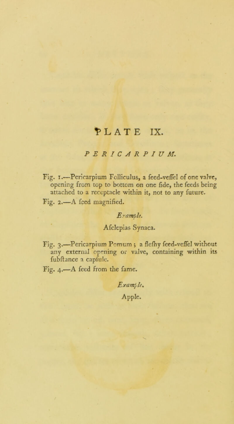 L A T E IX. PERICARPIUM. Fig. I.—Pericarpium Folliculus, a feed-veflel of one valve, opening from top to bottom on one fide, the feeds being attached to a receptacle within it, not to any future. Fig. 2.—A feed magnified. Eyomple. Afclepias Synaca. Fig. 3.—Pericarpium Pomum ; a flefhy feed-veflel without any external cp'°ning or valve, containing within its fubftance a capfule. Fig. 4.—A feed from the fame. Example, Apple.