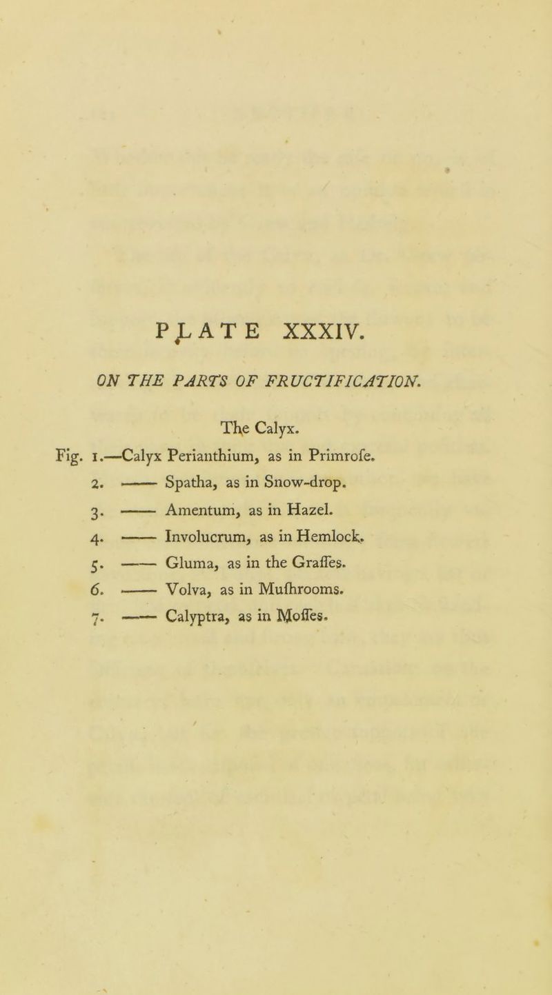 P ^ A T E XXXIV. ON THE PARTS OF FRUCTIFICATION. Tl\e Calyx. 1. —Calyx Perianthium, as in Primrofe. 2. ■ — Spatha, as in Snow-drop. 3. Amentum, as in Hazel. 4. Involucrum, as in Hemlock. 5. Gluma, as in the Grades. 6. Volva, as in Muflirooms. 7. Calyptra, as in Mofles.