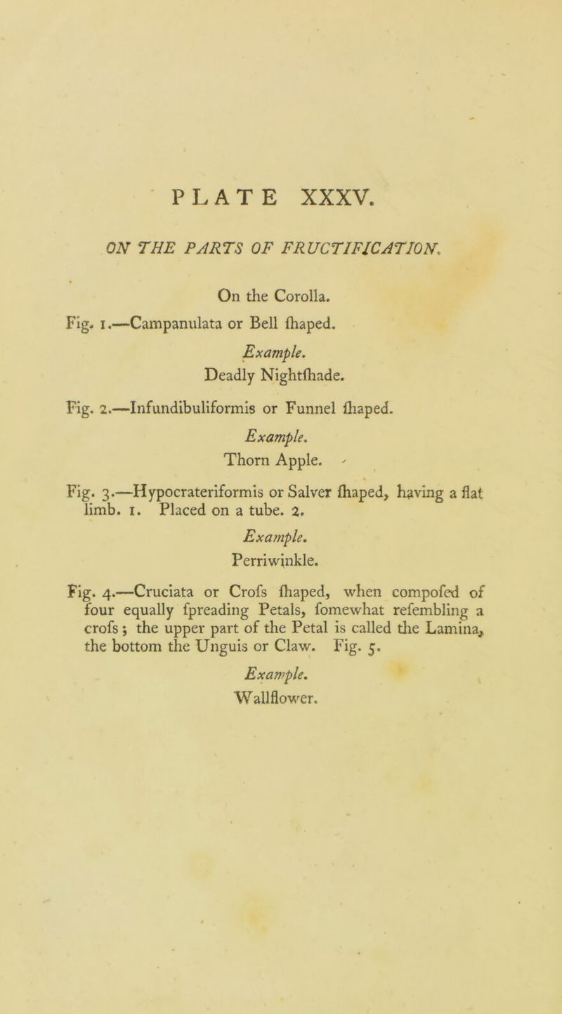 ON THE PHRTS OF FRUCTIFICATION. On the Corolla. Fig. I.—Campanulata or Bell ftiaped. Example. Deadly Nightlhade. Fig. 2.—Infundibuliformis or Funnel lliaped. Example. Thorn Apple. - % Fig. 3.—Hypocrateriformis or Salver {haped, having a flat limb. I. Placed on a tube. 2. Exa?nple. Perriwinkle. Fig. 4.—Cruciata or Crofs fhaped, when compofed of four equally fpreading Petals, fomewhat refembling a crofs; the upper part of the Petal is called tlie Lamina, the bottom the Unguis or Claw. Fig. 5. Example. W allflower.