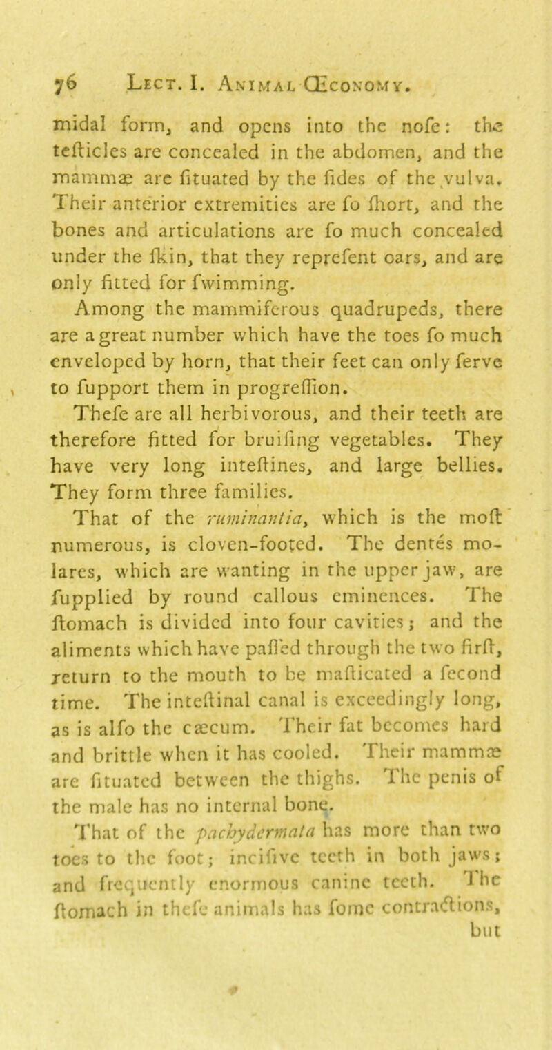 midal form, and opens into the nofe: the tcllicles are concealed in the abdomen, and the mammae arc fituated by the Tides of the vulva. Their anterior extremities are fo fliort, and the bones and articulations are fo much concealed under the fkin, that they reprefent oars, and are only fitted for fwimming. Among the mammiferous quadrupeds, there are a great number which have the toes fo much enveloped by horn, that their feet can only ferve to fupport them in progreflion. Thefe are all herbivorous, and their teeth are therefore fitted for bruifing vegetables. They have very long intefiines, and large bellies. They form three families. That of the riiminantiay which is the mod numerous, is cloven-footed. The dentes mo- lares, which are wanting in the upper jaw, are fupplied by round callous eminences. The domach is divided into four cavities; and the aliments which have pafied through the two firfi, return to the mouth to be maflicated a fccond time. The intertinal canal is exceedingly long, as is alfo the caecum. Their fat becomes hard and brittle when it has cooled. Their mammae are fituated between the thighs. T.he penis of the male has no internal bone. That of the pachydcrmnla has more than two toes to the foot; incifive teeth in both jaws; and frequently enormous canine teeth. 1 he fiomach in thefe animals has fome contrarflions, but