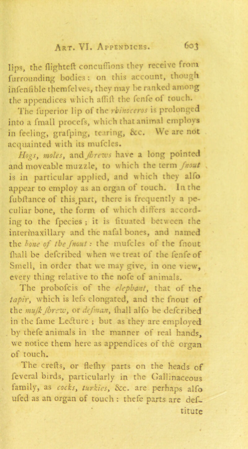 lips, the flightcft concufTions they receive from fiirroiinding bodies; on this account, though infeiifible rhcmfelves, they may be ranked among tlie appendices which adill: the fenfe of touch. The fuperior lip of the rbinoceros is prolonged into a fmall procefs, which that animal employs in feeling, grafping, tearing, &c. We are not acquainted with its mufcles. Hogs, moles, andJhretvs have a long pointed and moveable muzzle, to which the term is in particular applied, and which they alfo appear to employ as an organ ot touch. In the fubllance of thisjiart, there is frequently a pe- culiar bone, the form of which dift'ers accord- ing to the fpecies ; it is fituated between the intermaxillary and the nafal bones, and named the hone of the Jnont: the mufcles of the fnout fiall be deferibed when we treat of the fenfe of Smell, in order that we may give, in one view, every thing relative to the nofe of animals. The probofeis of the elephant, that of the tapir, which is lefs elongated, and the fnout of the mujk jhreu:, or dej'man, lhall alfo be deferibed in the fiime Leiflure ; but as they are employed by chefe animals in the manner of real hands, we notice them here as appendices of the organ of touch. The crefts, or flefliy parts on the heads of feveral birds, particularly in the Gallinaceous family, as cocks, turkics, &c. are perhaps alfo ufed as an organ of touch : thefe parts are def- titute