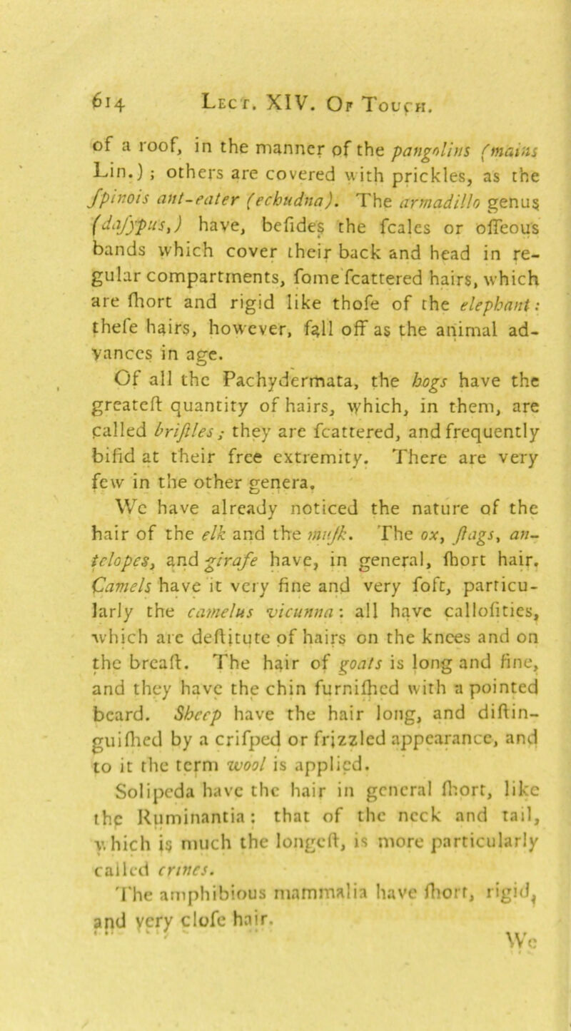 of a roof, in the manner of the pangolins (mains Lin.); others are covered with prickles, as the Jpinois ant-eater (echiidna). The armadillo genu^ (daJypiiSy) have, befides the fcales or offeous bands which cover their back and head in re- gular compartments, fomeTcattered hairs, which are fliort and rigid like thofe of the elephant: thefe hairs, however, fall off as the animal ad- vances in age. Of all the Pachydermata, the hogs have the greateft quantity of hairs, which, in them, are called brifiles ; they are fcattered, and frequently bifid at their free extremity. There are very few in the other genera, Wc have already noticed the nature of the hair of the elk and the mnjk. The ox^ cin- iclopeSy zndgirafe have, in general, fhort hair. Camels have it very fine and very fofc, particu- larly the camelus vicunna: all have callofities, •which are defiitute of hairs on the knees and on the breaft. The hair of goats is long and fine, and they have the chin furnifhed with -a pointed beard. Sheep have the hair long, and diftin- guiflied by a crifped or frizzled appearance, and to it the term wool is applied. Solipeda have the hair in general fliort, like the Ruminantia; that of the neck and tail, •v’.hich is much the longeft, is more particularly called crines. 'The amphibious mammalia have fliorr, rigid^ and yery clofe hair. Wc