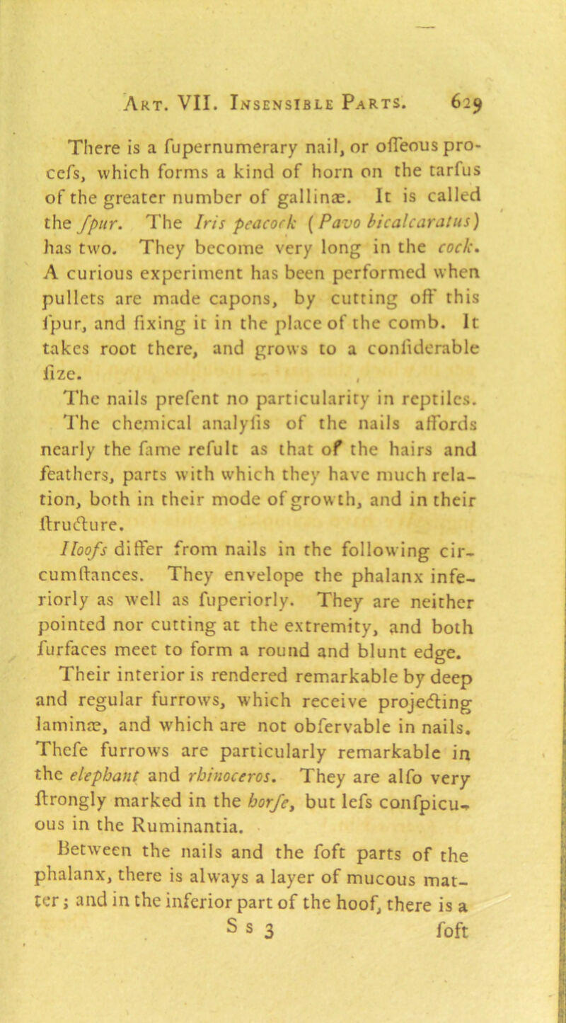 There is a fupernumerary nail, or olTeouspro- ccfs, which forms a kind of horn on the tarfus of the greater number of gallinae. It is called the Jpnr. The Iris peacock {Pavo bicalcaratns) has two. They become very long in the cock» A curious experiment has been performed when pullets are made capons, by cutting off this I'pur, and fixing it in the place of the comb. It takes root there, and grows to a confiderable fize. The nails prefent no particularity in reptiles. The chemical analyfis of the nails affords nearly the fame refult as that of the hairs and feathers, parts with which they have much rela- tion, both in their mode of growth, and in their ftruefture. Hoofs differ from nails in the following cir- cumftances. They envelope the phalanx infe- riorly as well as fuperiorly. They are neither pointed nor cutting at the extremity, and both furfaces meet to form a round and blunt edge. Their interior is rendered remarkable by deep and regular furrows, w’hich receive projecting laminre, and which are not obfervable in nails. Thefe furrows are particularly remarkable in the elephant and rhinoceros. They are alfo very ftrongly marked in the horfe^ but lefs confpicu^ ous in the Ruminantia. • Between the nails and the foft parts of the phalanx, there is always a layer of mucous mat- ter j and in the inferior part of the hoof, there is a S s 3 foft