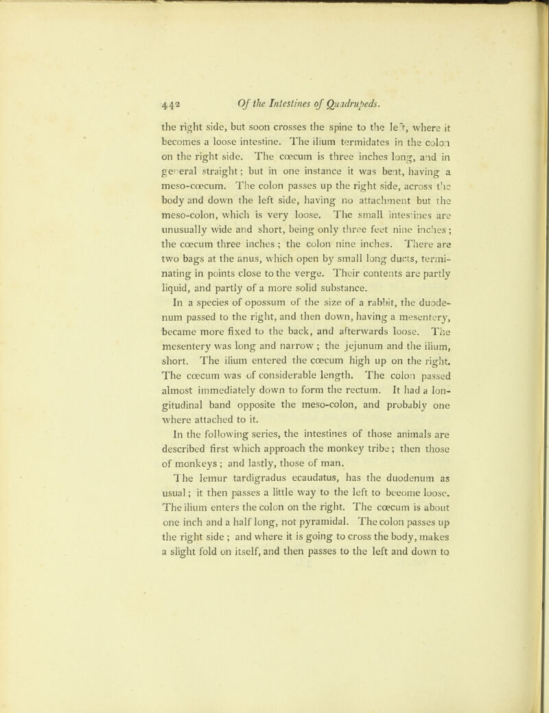 the right side, but soon crosses the spine to the let, where it becomes a loose intestine. The ilium termidates in the colon on the right side. The coecum is three inches long, and in general straight; but in one instance it was bent, having a meso-coecum. The colon passes up the right side, across the body and down the left side, having no attachment but the meso-colon, which is very loose. The small intestines are unusually wide and short, being only three feet nine inches; the coecum three inches ; the colon nine inches. There are two bags at the anus, which open by small long ducts, termi¬ nating in points close to the verge. Their contents are partly liquid, and partly of a more solid substance. In a species of opossum of the size of a rabbit, the duode¬ num passed to the right, and then down, having a mesentery, became more fixed to the back, and afterwards loose. The mesentery was long and narrow ; the jejunum and the ilium, short. The ilium entered the coecum high up on the right. The coecum was of considerable length. The colon passed almost immediately down to form the rectum. It had a lon¬ gitudinal band opposite the meso-colon, and probably one where attached to it. In the following series, the intestines of those animals are described first which approach the monkey tribe; then those of monkeys ; and lastly, those of man. The lemur tardigradus ecaudatus, has the duodenum as usual; it then passes a little way to the left to beeome loose. The ilium enters the colon on the right. The coecum is about one inch and a half long, not pyramidal. The colon passes up the right side ; and where it is going to cross the body, makes a slight fold on itself, and then passes to the left and down to