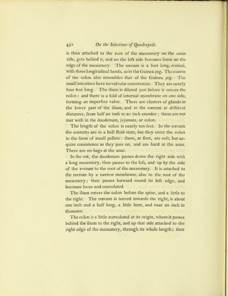 is then attached to the root of the mesentery on the same side, gets behind it, and on the left side becomes loose on the edge of the mesentery. The coecum is a foot long, conical, with three longitudinal bands, as in the Guinea pig. The course of the colon also resembles that of the Guinea pig. The small intestines have no valvulce conniventes. They are nearly four feet long. The ilium is dilated just before it enters the colon ; and there is a fold of internal membrane on one side, forming an imperfect valve. There are clusters of glands in the lower part of the ilium, and in the coecum at different distances, from half an inch to an inch asunder ; these are not met with in the duodenum, jejunum, or colon. The length of the colon is nearly ten feet. In the coecum the contents are in a half fluid state, but they enter the colon in the form of small pellets : these, at first, are soft, but ac¬ quire consistence as they pass on, and are hard at the anus. There are no bags at the anus. In the rat, the duodenum passes down the right side with a long mesentery, then passes to the left, and up by the side of the rectum to the root of the mesentery. It is attached to the rectum by a narrow membrane, also to the root of the mesentery; then passes forward round its left edge, and becomes loose and convoluted. The ilium enters the colon before the spine, and a little to the right. The coecum is turned towards the right, is about one inch and a half long, a little bent, and near an inch in diameter. The colon is a little convoluted at its origin, where it passes behind the ilium to the right, and up that side attached to the right edge of the mesentery, through its whole length; then