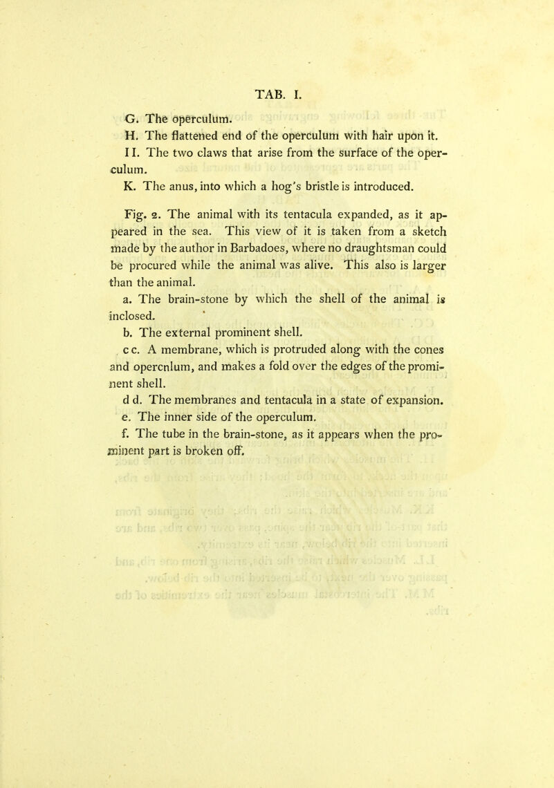 O. The operculum. H. The flattened end of the operculum with hair upon it. 11. The two claws that arise from the surface of the oper- culum. K. The anus, into which a hog's bristle is introduced. Fig. 2. The animal with its tentacula expanded, as it ap- peared in the sea. This view of it is taken from a sketch made by the author in Barbadoes, where no draughtsman could be procured while the animal was alive. This also is larger than the animal. a. The brain-stone by which the shell of the animal is inclosed. b. The external prominent shell. c c. A membrane, which is protruded along with the cones and operculum, and makes a fold over the edges of the promi- nent shell. d d. The membranes and tentacula in a state of expansion. e. The inner side of the operculum. f. The tube in the brain-stone, as it appears when the pro- mioent part is broken off.