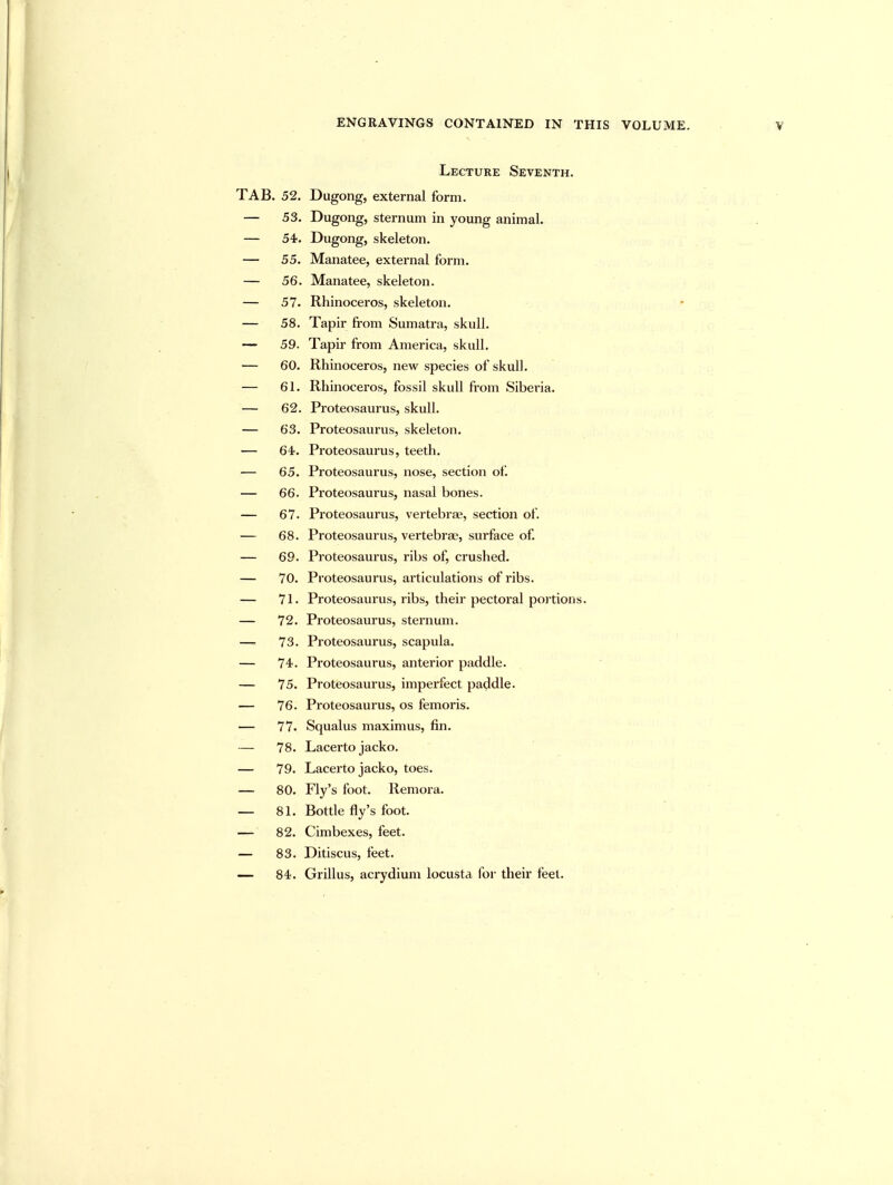 Lecture Seventh. TAB. 52. Dugong, external form. — 53. Dugong, sternum in young animal. — 54-. Dugong, skeleton. — 55. Manatee, external form. — 56. Manatee, skeleton. — 57. Rhinoceros, skeleton. — 58. Tapir from Sumatra, skull. — 59. Tapir from America, skull. — 60. Rhinoceros, new species of skull. — 61. Rhinoceros, fossil skull from Siberia. — 62. Proteosaurus, skull. — 63. Proteosaurus, skeleton. — 64. Proteosaurus, teeth. — 65. Proteosaurus, nose, section of. — 66. Proteosaurus, nasal bones. — 67. Proteosaurus, vertebrae, section of. — 68. Proteosaurus, vertebra?, sm-face of — 69. Proteosaurus, ribs of, crushed. — 70. Proteosaurus, articulations of ribs. — 71. Proteosaurus, ribs, their pectoral portions. — 72. Proteosaurus, sternum. — 73. Proteosaurus, scapula. — 74. Proteosaurus, anterior paddle. — 75. Proteosaurus, imperfect paddle. — 76. Proteosaurus, os femoris. — 77. Squalus maximus, fin. — 78. Lacerto jacko. — 79. Lacerto jacko, toes. — 80. Fly's foot. Remora. — 81. Bottle fly's foot. — 82. Cimbexes, feet. — 83. Ditiscus, feet. — 84. Grillus, acrydiuni locusta for their feet.