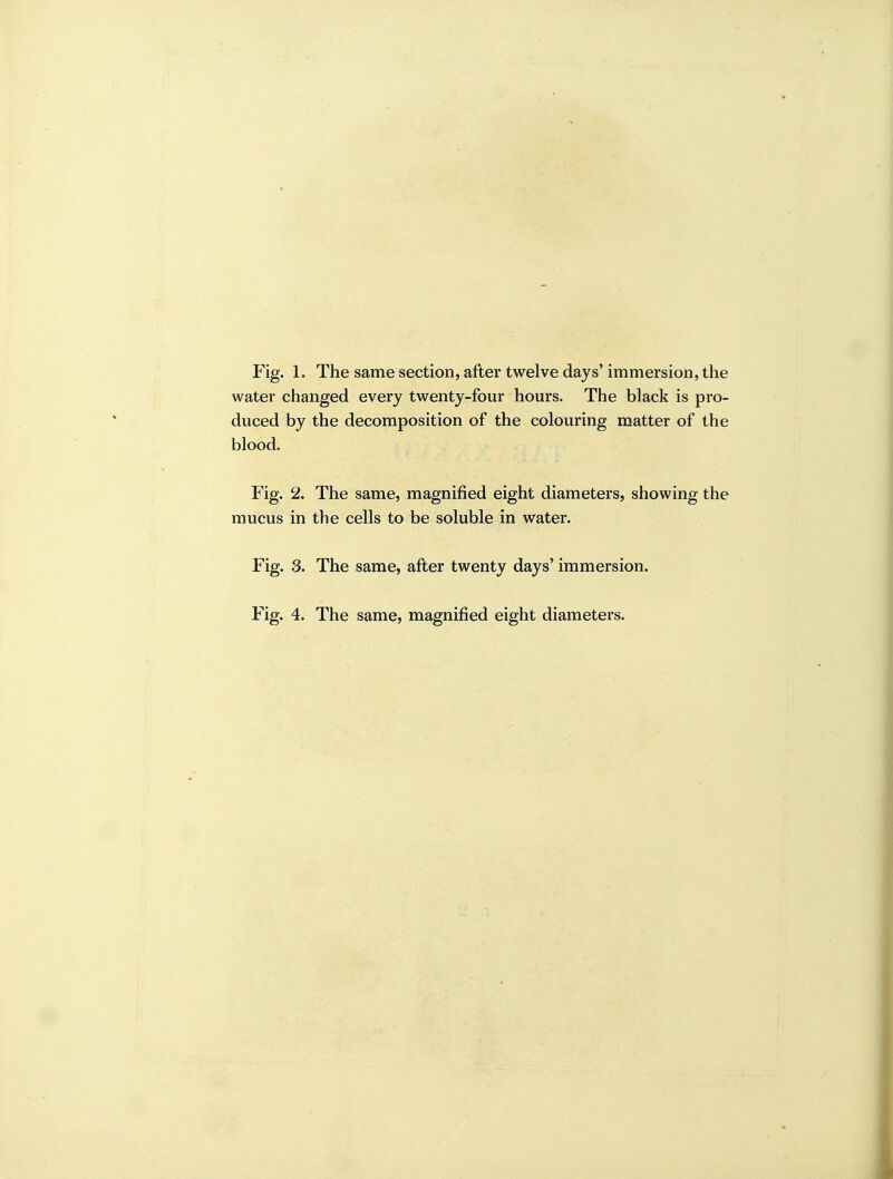 Fig. 1. The same section, after twelve days' immersion, the water changed every twenty-four hours. The black is pro- duced by the decomposition of the colouring matter of the blood. Fig. 2. The same, magnified eight diameters, showing the mucus in the cells to be soluble in water. Fig. S. The same, after twenty days' immersion.