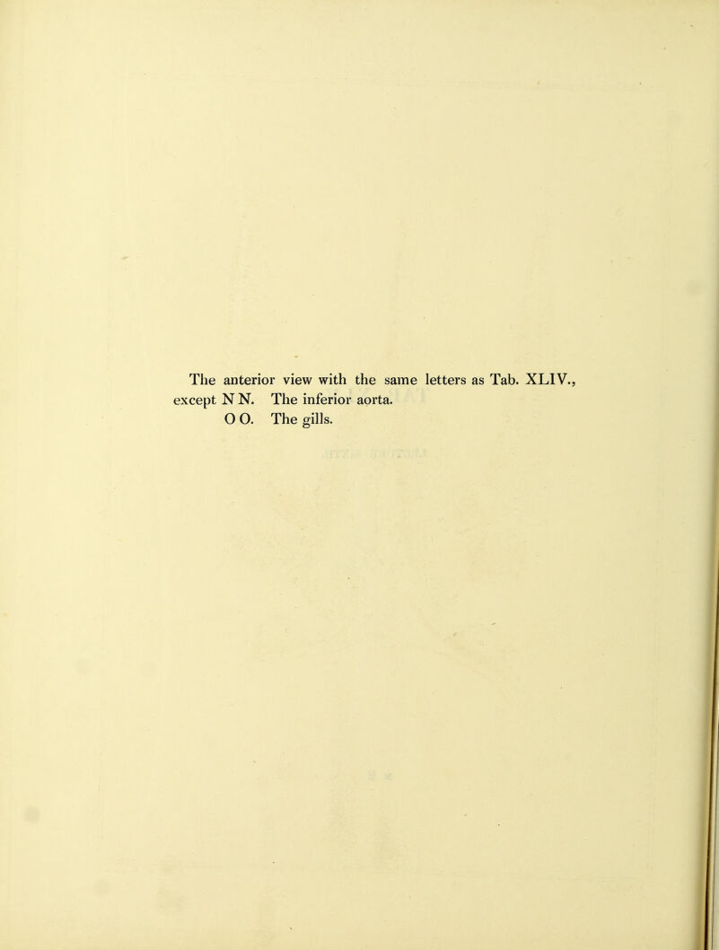 The anterior view with the same letters as Tab. XLIV., except N N. The inferior aorta. O O. The gills.