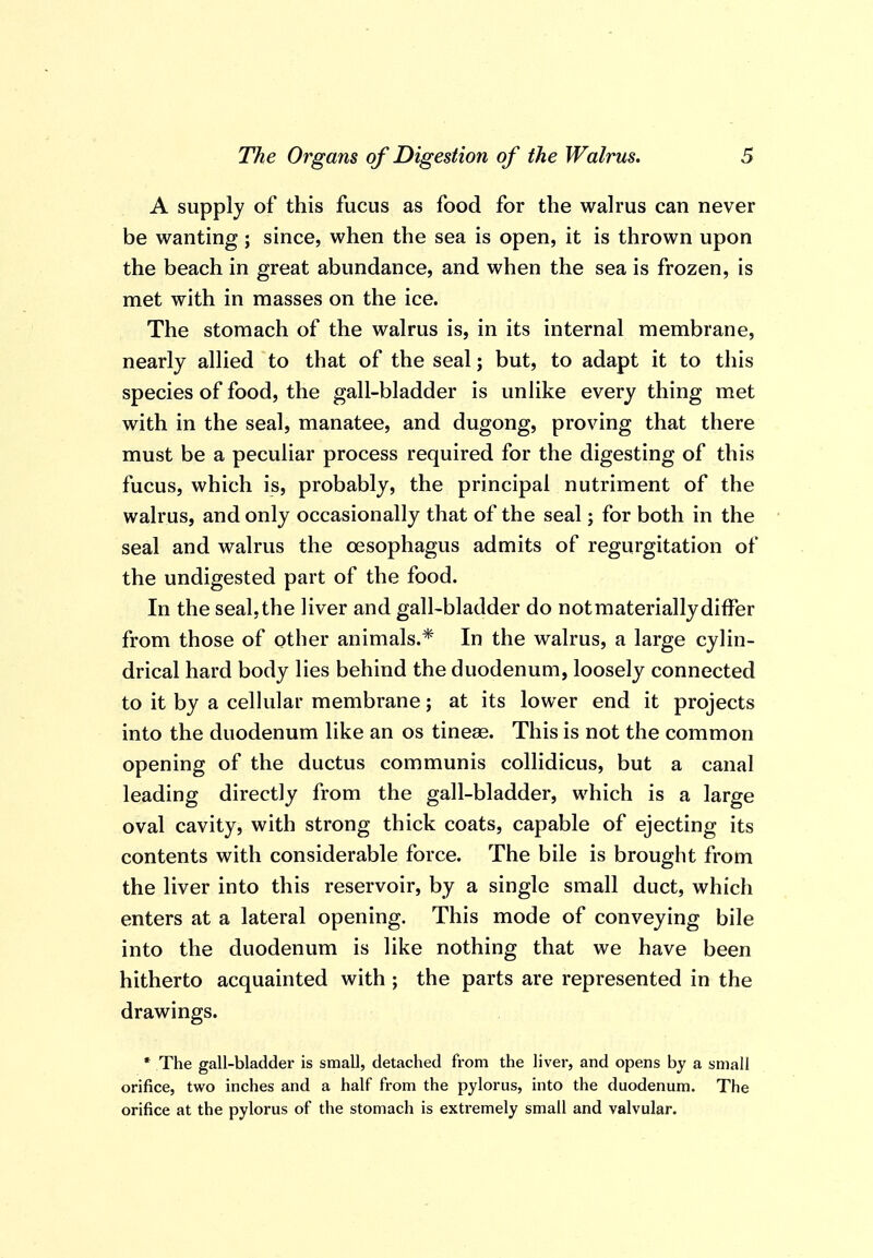 A supply of this fucus as food for the walrus can never be wanting; since, when the sea is open, it is thrown upon the beach in great abundance, and when the sea is frozen, is met with in masses on the ice. The stomach of the walrus is, in its internal membrane, nearly allied to that of the seal; but, to adapt it to this species of food, the gall-bladder is unlike every thing met with in the seal, manatee, and dugong, proving that there must be a peculiar process required for the digesting of this fucus, which is, probably, the principal nutriment of the walrus, and only occasionally that of the seal; for both in the seal and walrus the oesophagus admits of regurgitation of the undigested part of the food. In the seal,the liver and gall-bladder do not materially differ from those of other animals.* In the walrus, a large cylin- drical hard body lies behind the duodenum, loosely connected to it by a cellular membrane; at its lower end it projects into the duodenum like an os tineae. This is not the common opening of the ductus communis collidicus, but a canal leading directly from the gall-bladder, which is a large oval cavity, with strong thick coats, capable of ejecting its contents with considerable force. The bile is brought from the liver into this reservoir, by a single small duct, which enters at a lateral opening. This mode of conveying bile into the duodenum is like nothing that we have been hitherto acquainted with ; the parts are represented in the drawings. * The gall-bladder is small, detached from the liver, and opens by a small orifice, two inches and a half from the pylorus, into the duodenum. The orifice at the pylorus of the stomach is extremely small and valvular.