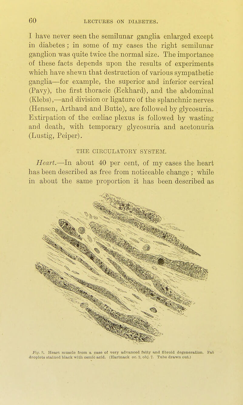 I have never seen the semilunar ganglia enlarged except in diabetes ; in some of my cases the right semilunar ganglion was quite twice the normal size. The importance of these facts depends upon the results of experiments which have shewn that destruction of various sympathetic ganglia—for example, the superior and inferior cervical (Pavy), the first thoracic (Eckhard), and the abdominal (Klebs),—and division or ligature of the splanchnic nerves (Hensen, Arthaud and Butte), are followed by glycosuria. Extirpation of the coeliac plexus is followed by wasting and death, with temporary glycosuria and acetonuria (Lustig, Peiper). THE CIRCULATORY SYSTEM. Heart.—In about 40 per cent, of my cases the heart has been described as free from noticeable change ; while in about the same proportion it has been described as Ftp. 8. Heart, musclo from a case o( very advanced fatty and fibroid degeneration. Fat droplets stained black with oamlo acid. (Iiartnacli oe. '2, obj. 7. Tubo drawn out.)