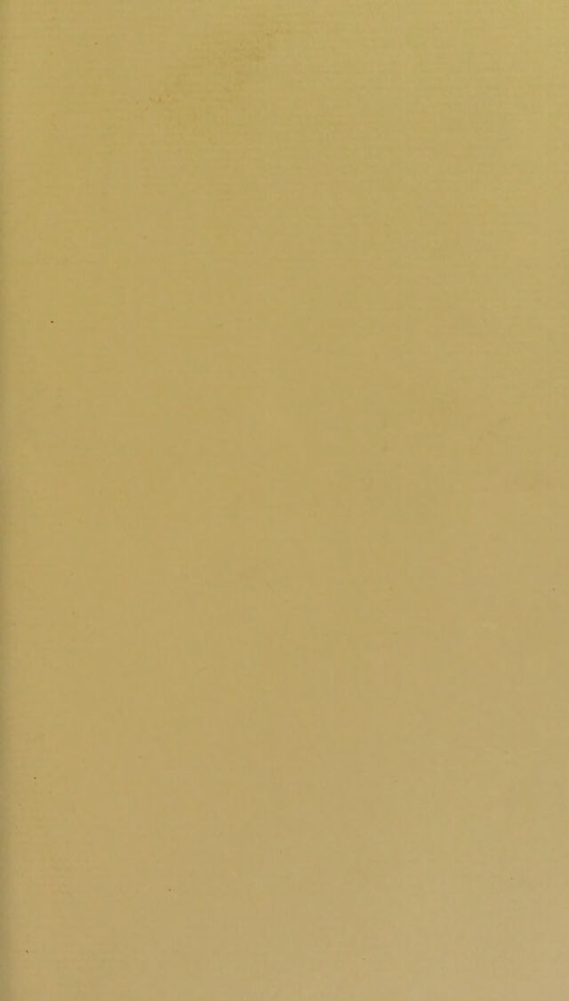 digitised image 3