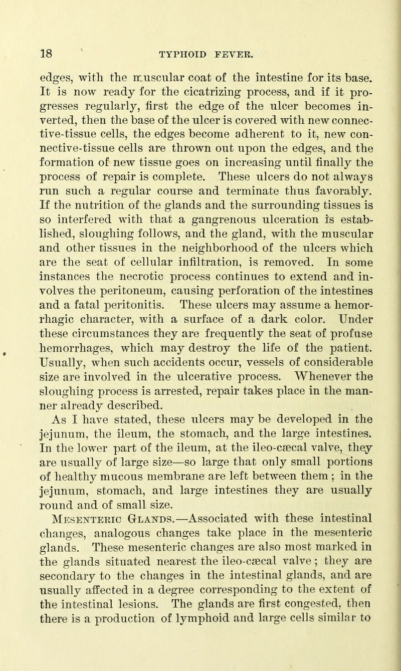 edges, with the muscular coat of the intestine for its base. It is now ready for the cicatrizing process, and if it pro- gresses regularly, first the edge of the ulcer becomes in- verted, then the base of the ulcer is covered with new connec- tive-tissue cells, the edges become adherent to it, new con- nective-tissue cells are thrown out upon the edges, and the formation of new tissue goes on increasing until finally the process of repair is complete. These ulcers do not always run such a regular course and terminate thus favorably. If the nutrition of the glands and the surrounding tissues is so interfered with that a gangrenous ulceration is estab- lished, sloughing follows, and the gland, with the muscular and other tissues in the neighborhood of the ulcers which are the seat of cellular infiltration, is removed. In some instances the necrotic process continues to extend and in- volves the peritoneum, causing perforation of the intestines and a fatal peritonitis. These ulcers may assume a hemor- rhagic character, with a surface of a dark color. Under these circumstances they are frequently the seat of profuse hemorrhages, which may destroy the life of the patient. Usually, when such accidents occur, vessels of considerable size are involved in the ulcerative process. Whenever the sloughing process is arrested, repair takes place in the man- ner already described. As I have stated, these ulcers may be developed in the jejunum, the ileum, the stomach, and the large intestines. In the lower part of the ileum, at the ileo-caecal valve, they are usually of large size—so large that only small portions of healthy mucous membrane are left between them ; in the jejunum, stomach, and large intestines they are usually round and of small size. Mesenteric Glands.—Associated with these intestinal changes, analogous changes take place in the mesenteric glands. These mesenteric changes are also most marked in the glands situated nearest the ileo-csecal valve; they are secondary to the changes in the intestinal glands, and are usually affected in a degree corresponding to the extent of the intestinal lesions. The glands are first congested, then there is a production of lymphoid and large cells similar to