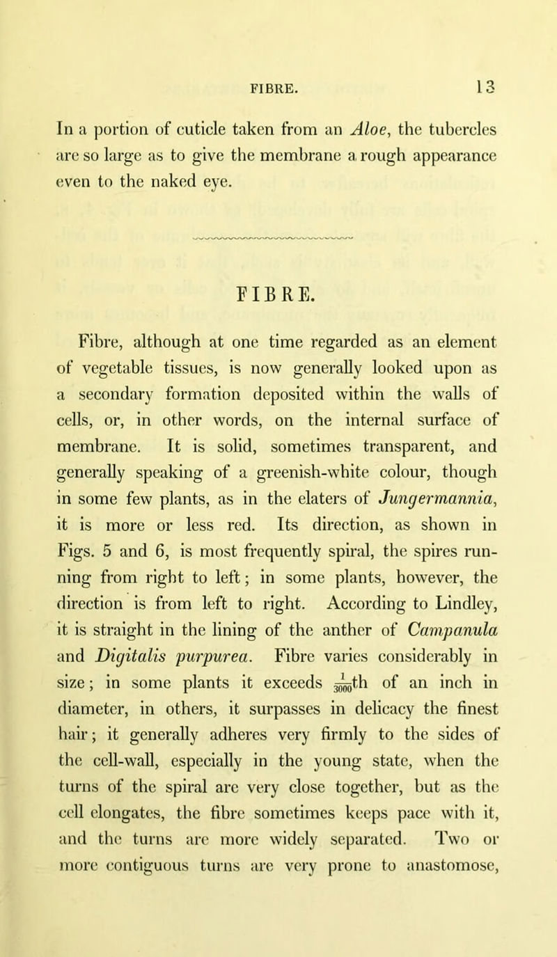In a portion of cuticle taken from an Aloe, the tubercles arc so large as to give the membrane a, rough appearance even to the naked eye. FIBRE. Fibre, although at one time regarded as an element of vegetable tissues, is now generally looked upon as a secondary formation deposited within the walls of cells, or, in other words, on the internal surface of membrane. It is solid, sometimes transparent, and generally speaking of a greenish-white colour, though in some few plants, as in the elaters of Jungermannia, it is more or less red. Its direction, as shown in Figs. 5 and 6, is most frequently spiral, the spires run- ning from right to left; in some plants, however, the direction is from left to right. According to Lindley, it is straight in the lining of the anther of Campanula and Digitalis purpurea. Fibre varies considerably in size; in some plants it exceeds ^th of an inch in diameter, in others, it surpasses in delicacy the finest hair; it generally adheres very firmly to the sides of the cell-wall, especially in the young state, when the turns of the spiral are very close together, but as the cell elongates, the fibre sometimes keeps pace with it, and the turns arc more widely separated. Two or more contiguous turns are very prone to anastomose.