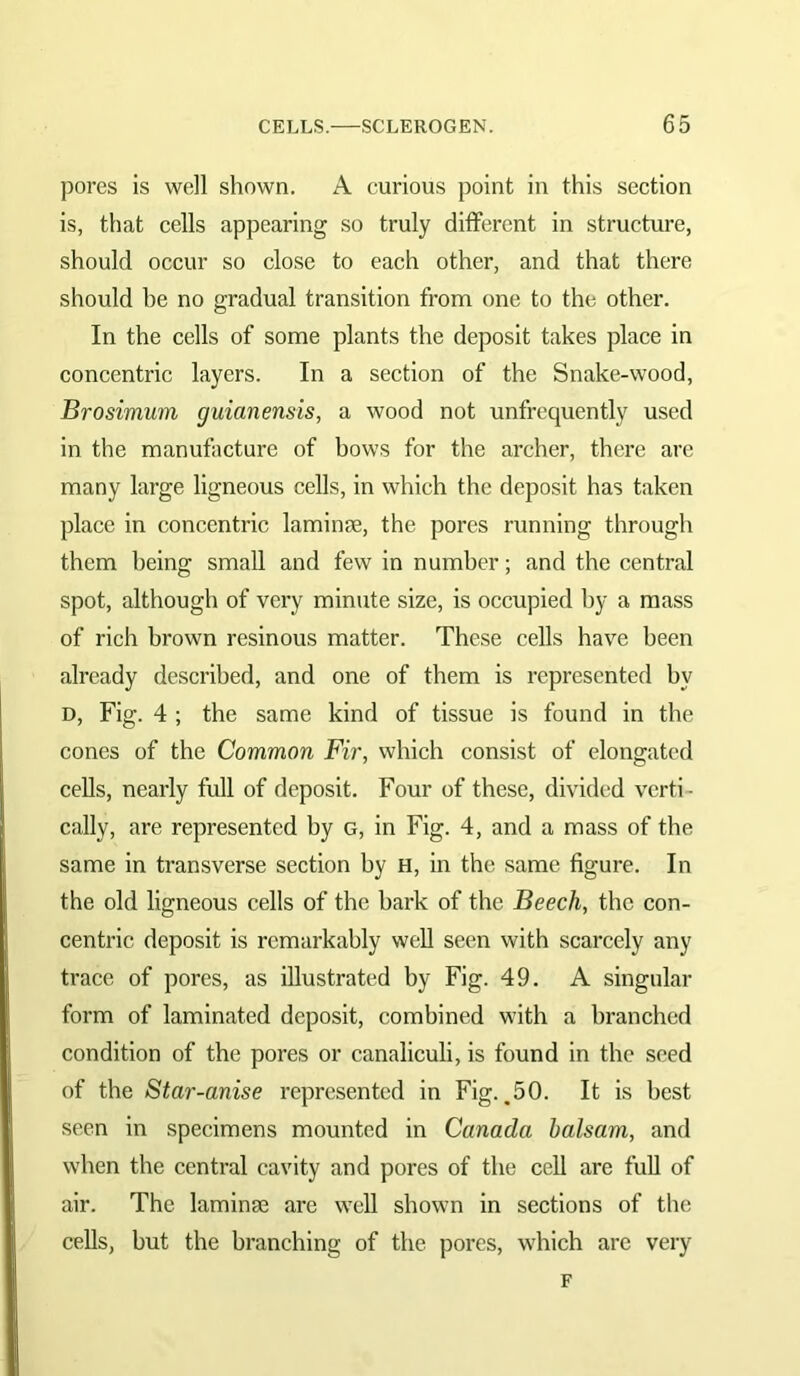 pores is well shown. A curious point in this section is, that cells appearing so truly different in structure, should occur so close to each other, and that there should he no gradual transition from one to the other. In the cells of some plants the deposit takes place in concentric layers. In a section of the Snake-wood, Brosimum guianensis, a wood not unfrequently used in the manufacture of bows for the archer, there are many large ligneous cells, in which the deposit has taken place in concentric laminae, the pores running through them being small and few in number; and the central spot, although of very minute size, is occupied by a mass of rich brown resinous matter. These cells have been already described, and one of them is represented by D, Fig. 4 ; the same kind of tissue is found in the cones of the Common Fir, which consist of elongated cells, nearly full of deposit. Four of these, divided verti- cally, are represented by g, in Fig. 4, and a mass of the same in transverse section by h, in the same figure. In the old ligneous cells of the bark of the Beech, the con- centric deposit is remarkably well seen with scarcely any trace of pores, as illustrated by Fig. 49. A singular form of laminated deposit, combined with a branched condition of the pores or canaliculi, is found in the seed of the Star-anise represented in Fig. ^50. It is best seen in specimens mounted in Canada balsam, and when the central cavity and pores of the cell are full of air. The laminae are well shown in sections of the cells, but the branching of the pores, which arc very F