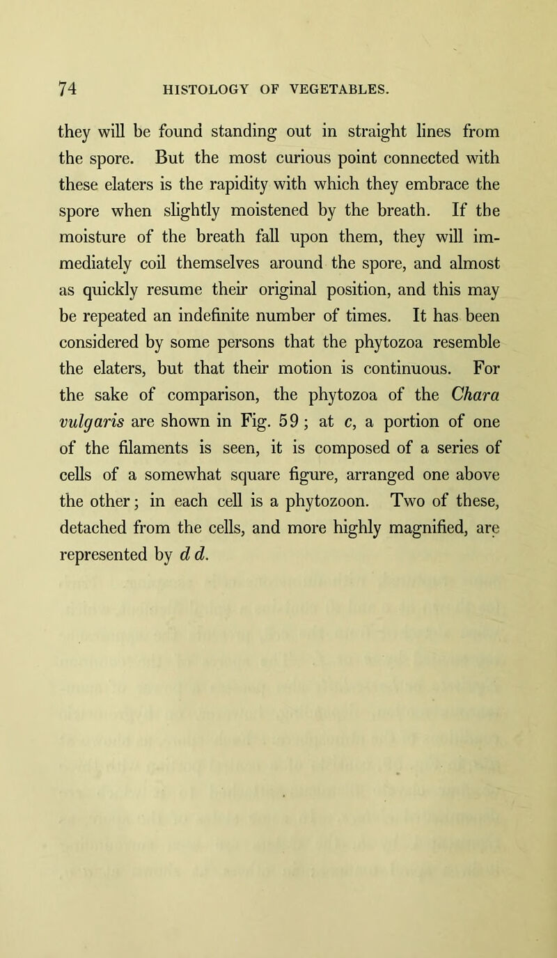 they will be found standing out in straight lines from the spore. But the most curious point connected with these elaters is the rapidity with which they embrace the spore when slightly moistened by the breath. If the moisture of the breath fall upon them, they will im- mediately coil themselves around the spore, and almost as quickly resume their original position, and this may be repeated an indefinite number of times. It has been considered by some persons that the phytozoa resemble the elaters, but that their motion is continuous. For the sake of comparison, the phytozoa of the Chara vulgaris are shown in Fig. 5 9; at c, a portion of one of the filaments is seen, it is composed of a series of cells of a somewhat square figure, arranged one above the other; in each cell is a phytozoon. Two of these, detached from the cells, and more highly magnified, are represented by d d.