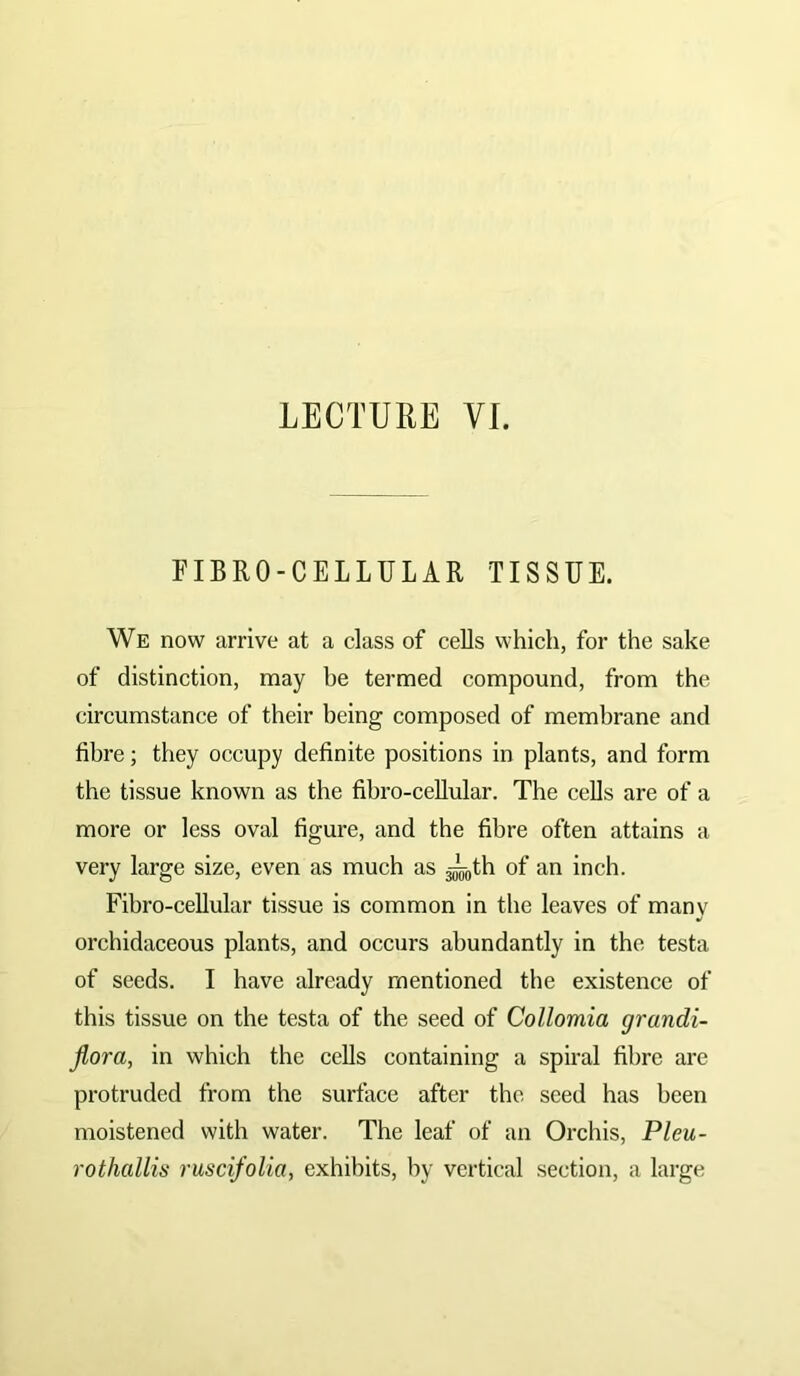 LECTURE VI. FIBRO-CELLULAR TISSUE. We now arrive at a class of cells which, for the sake of distinction, may be termed compound, from the circumstance of their being composed of membrane and fibre; they occupy definite positions in plants, and form the tissue known as the fibro-cellular. The cells are of a more or less oval figure, and the fibre often attains a very large size, even as much as jj^gth of an inch. Fibro-cellular tissue is common in the leaves of many orchidaceous plants, and occurs abundantly in the testa of seeds. I have already mentioned the existence of this tissue on the testa of the seed of Collomia grandi- flora, in which the cells containing a spiral fibre are protruded from the surface after the seed has been moistened with water. The leaf of an Orchis, Pleu- rothallis ruscifolia, exhibits, by vertical section, a large