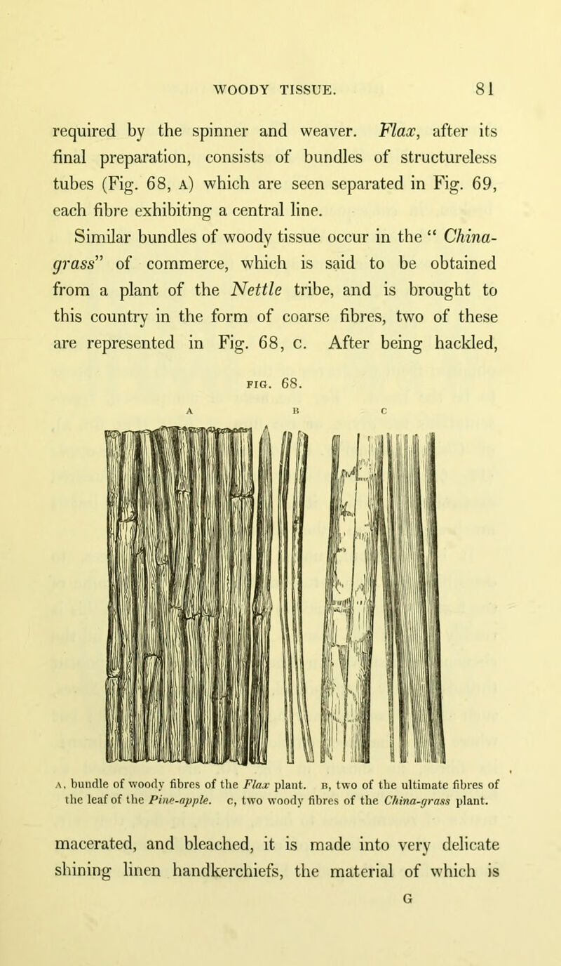 required by the spinner and weaver. Flax, after its final preparation, consists of bundles of structureless tubes (Fig. 68, a) which are seen separated in Fig. 69, each fibre exhibiting a central line. Similar bundles of woody tissue occur in the “ China- grass” of commerce, which is said to he obtained from a plant of the Nettle tribe, and is brought to this country in the form of coarse fibres, two of these are represented in Fig. 68, c. After being hackled, FIG. 68. A B C A. bundle of woody fibres of the Flax plant, b, two of the ultimate fibres of the leaf of the Pine-apple, c, two woody fibres of the China-gra.K plant. macerated, and bleached, it is made into very delicate shining linen handkerchiefs, the material of which is G