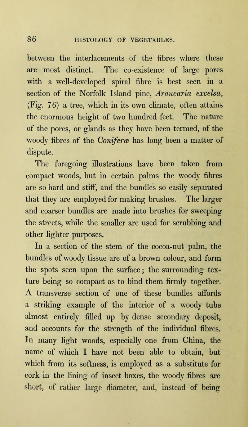 between the interlacements of the fibres where these are most distinct. The co-existence of large pores with a well-developed spiral fibre is best seen in a section of the Norfolk Island pine, Araucaria excelsa, (Fig. 76) a tree, which in its own climate, often attains the enormous height of two hundred feet. The nature of the pores, or glands as they have been termed, of the woody fibres of the Conifera has long been a matter of dispute. The foregoing illustrations have been taken from compact woods, but in certain palms the woody fibres are so hard and stiff, and the bundles so easily separated that they are employed for making brushes. The larger and coarser bundles are made into brushes for sweeping the streets, while the smaller are used for scrubbing and other lighter purposes. In a section of the stem of the cocoa-nut palm, the bundles of woody tissue are of a brown colour, and form the spots seen upon the surface; the surrounding tex- ture being so compact as to bind them firmly together. A transverse section of one of these bundles affords a striking example of the interior of a woody tube almost entirely filled up by dense secondary deposit, and accounts for the strength of the individual fibres. In many light woods, especially one from China, the name of which I have not been able to obtain, hut which from its softness, is employed as a substitute for cork in the lining of insect boxes, the woody fibres are short, of rather large diameter, and, instead of being