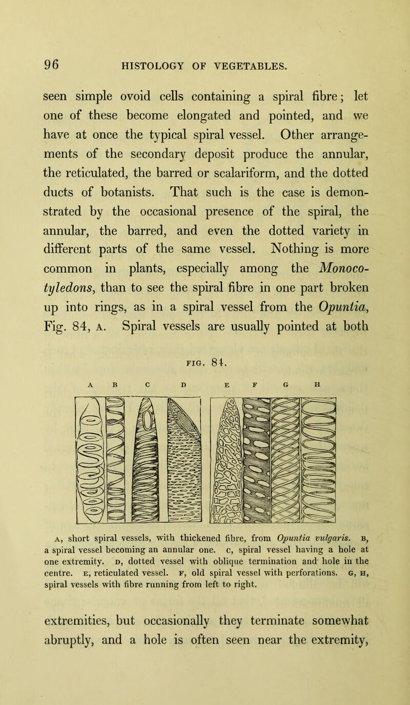 seen simple ovoid cells containing a spiral fibre; let one of these become elongated and pointed, and we have at once the typical spiral vessel. Other arrange- ments of the secondary deposit produce the annular, the reticulated, the barred or scalariform, and the dotted ducts of botanists. That such is the case is demon- strated by the occasional presence of the spiral, the annular, the barred, and even the dotted variety in different parts of the same vessel. Nothing is more common in plants, especially among the Monoco- tyledons, than to see the spiral fibre in one part broken up into rings, as in a spiral vessel from the Opuniia, Fig. 84, A. Spiral vessels are usually pointed at both FIG. 8t. ABC D EFGH A, short spiral vessels, 'with thickened fibre, from Opmtia vulgaris, b, a spiral vessel becoming an annular one. c, spiral vessel having a hole at one extremity, n, dotted vessel with oblique termination and hole in the centre, e, reticulated vessel, f, old spiral vessel with perforations, g, h, spiral vessels with fibre running from left to right. extremities, but occasionally they terminate somewhat abruptly, and a hole is often seen near the extremity.