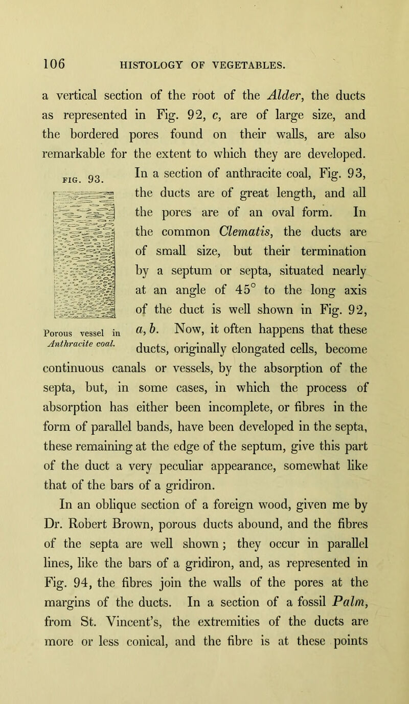 a vertical section of the root of the Alder, the ducts as represented in Fig. 92, c, are of large size, and the bordered pores found on their walls, are also remarkable for the extent to which they are developed. In a section of anthracite coal. Fig. 93, the ducts are of great length, and all the pores are of an oval form. In the common Clematis, the ducts are of small size, but their termination by a septum or septa, situated nearly at an angle of 45° to the long axis of the duct is well shown in Fig. 92, a, b. Now, it often happens that these ducts, originally elongated cells, become continuous canals or vessels, by the absorption of the septa, but, in some cases, in which the process of absorption has either been incomplete, or fibres in the form of parallel bands, have been developed in the septa, these remaining at the edge of the septum, give this part of the duct a very peculiar appearance, somewhat like that of the bars of a gridiron. In an oblique section of a foreign wood, given me by Dr. Robert Brown, porous ducts abound, and the fibres of the septa are well shown; they occur in parallel lines, like the bars of a gridiron, and, as represented in Fig. 94, the fibres join the walls of the pores at the margins of the ducts. In a section of a fossil Palm, from St. Vincent’s, the extremities of the ducts are more or less conical, and the fibre is at these points FIG. 93. Porous vessel in Anthracite coal.