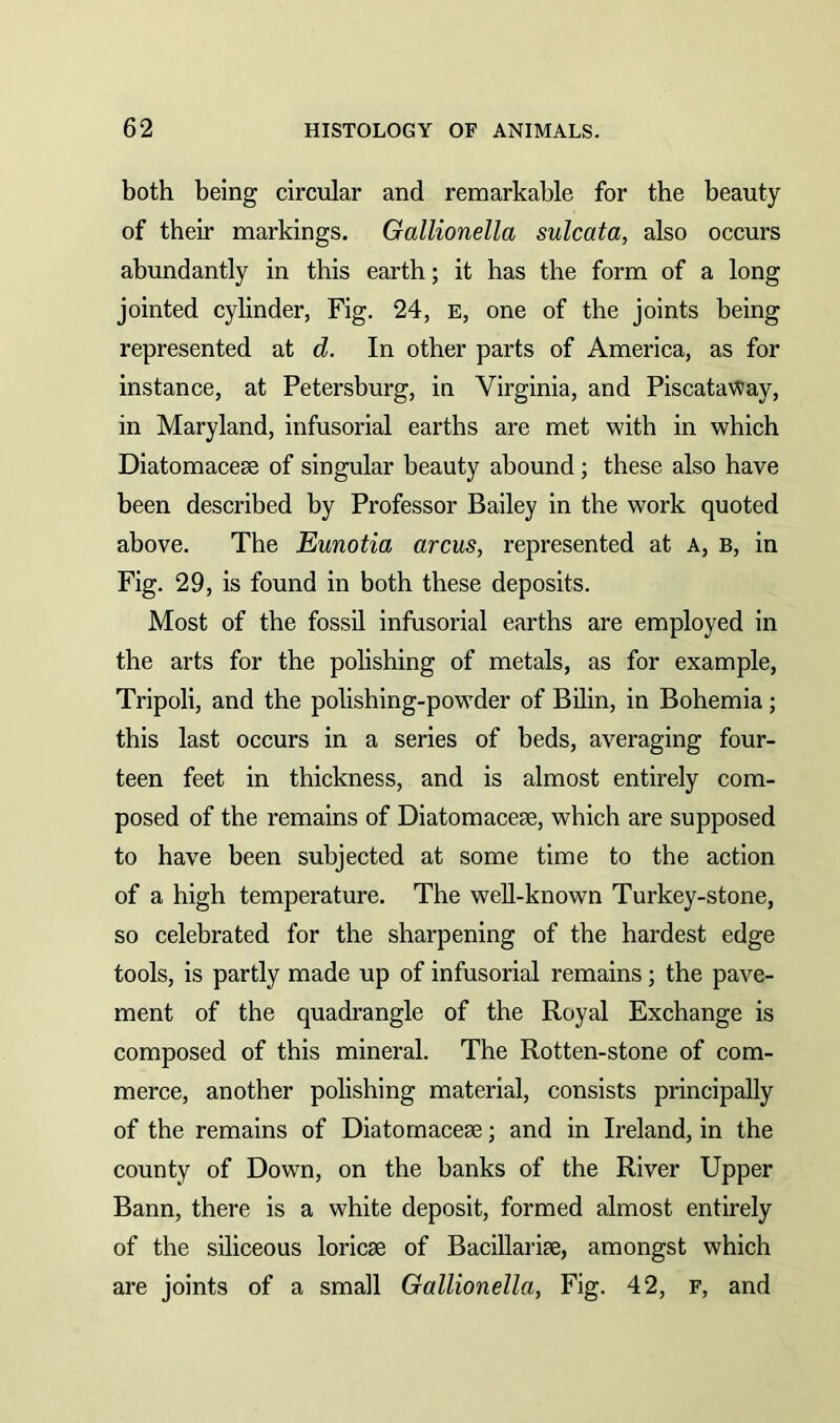 both being circular and remarkable for the beauty of their markings. Gallionella sulcata, also occurs abundantly in this earth; it has the form of a long jointed cylinder, Fig. 24, e, one of the joints being represented at d. In other parts of America, as for instance, at Petersburg, in Virginia, and PiscataWay, in Maryland, infusorial earths are met with in which Diatomaceae of singular beauty abound; these also have been described by Professor Bailey in the work quoted above. The Eunotia arcus, represented at a, b, in Fig. 29, is found in both these deposits. Most of the fossil infusorial earths are employed in the arts for the polishing of metals, as for example, Tripoli, and the polishing-powder of Bilin, in Bohemia; this last occurs in a series of beds, averaging four- teen feet in thickness, and is almost entirely com- posed of the remains of Diatomaceae, which are supposed to have been subjected at some time to the action of a high temperature. The well-known Turkey-stone, so celebrated for the sharpening of the hardest edge tools, is partly made up of infusorial remains; the pave- ment of the quadrangle of the Royal Exchange is composed of this mineral. The Rotten-stone of com- merce, another polishing material, consists principally of the remains of Diatomaceae; and in Ireland, in the county of Down, on the banks of the River Upper Bann, there is a white deposit, formed almost entirely of the siliceous loricae of Bacillariae, amongst which are joints of a small Gallionella, Fig. 42, f, and